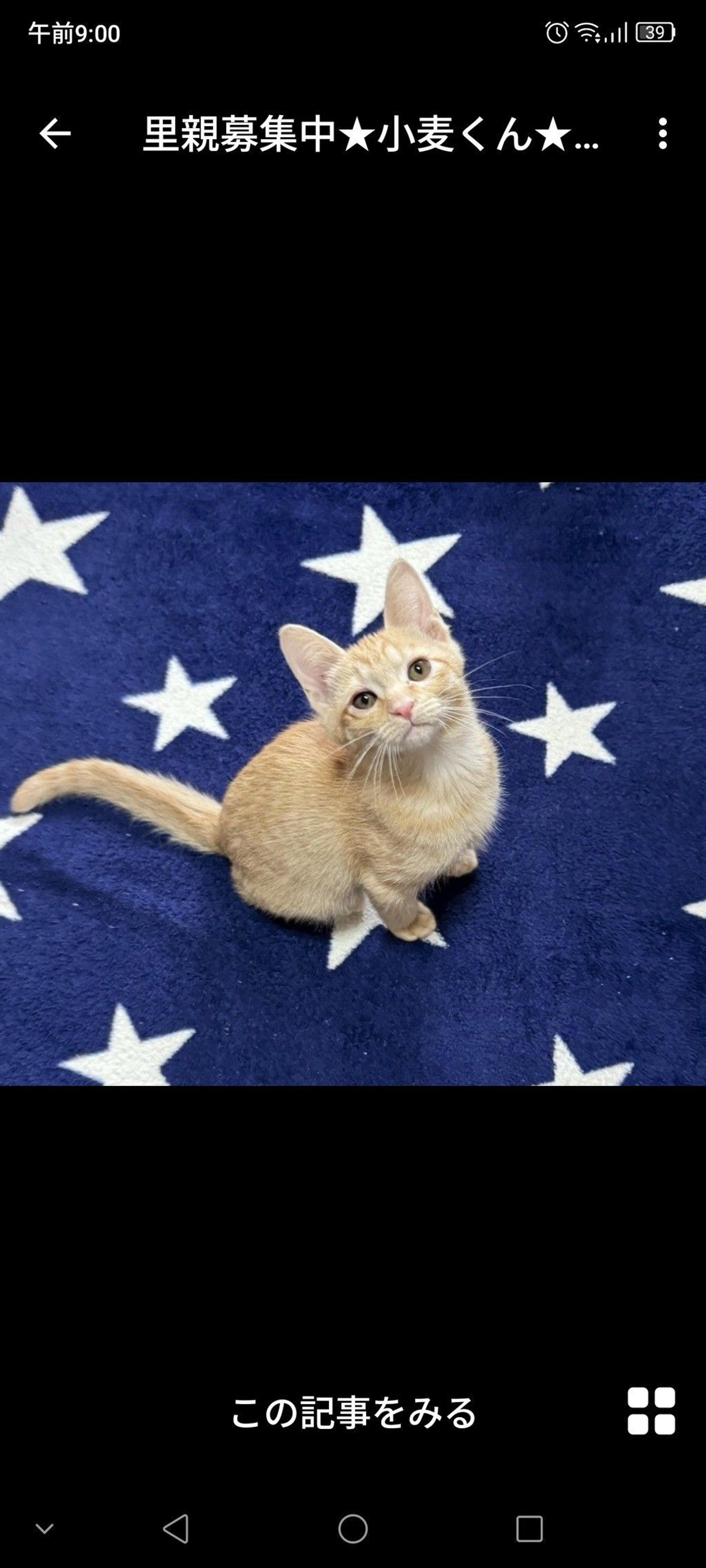pet-image-3