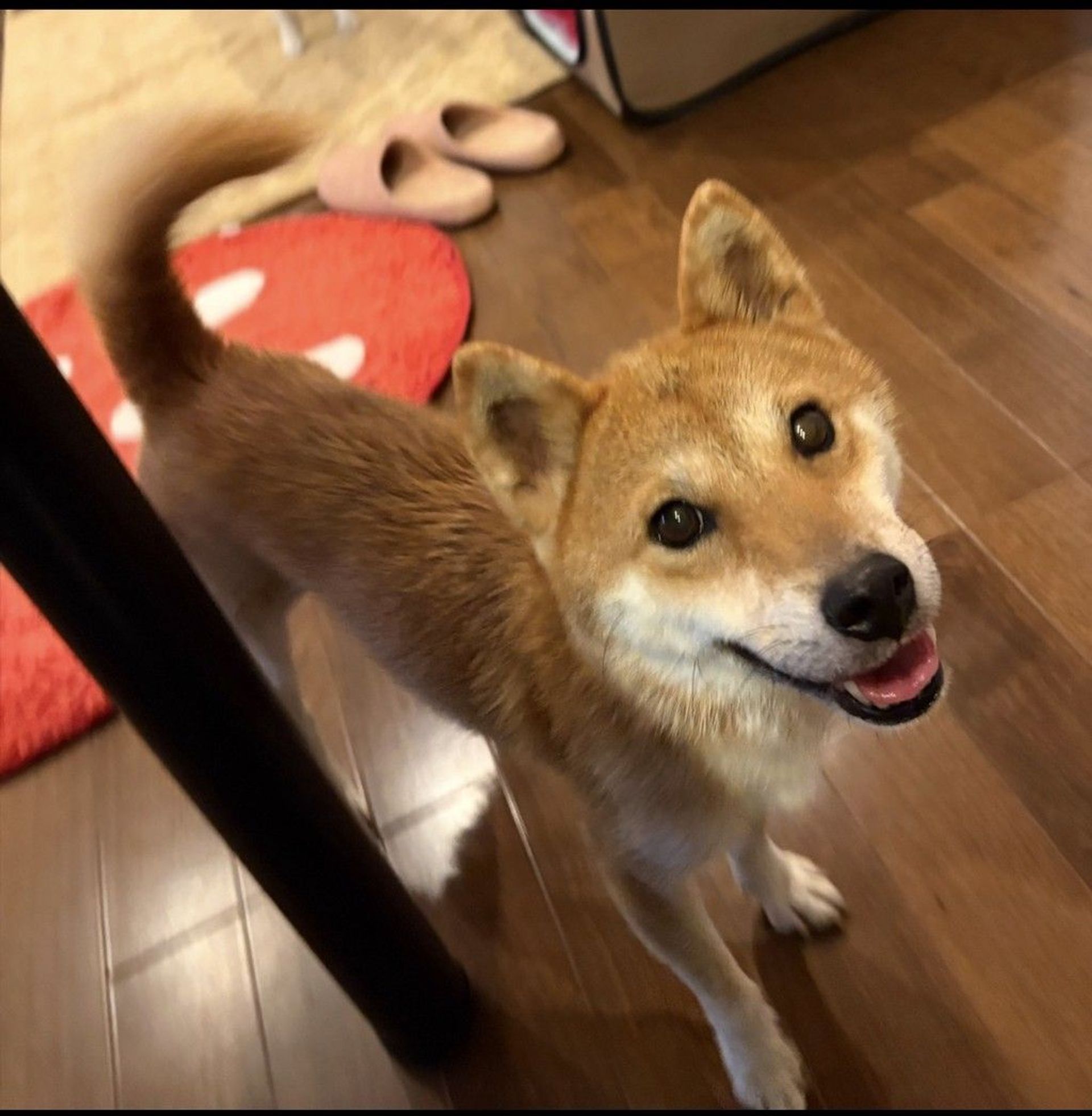 thumbnail-5