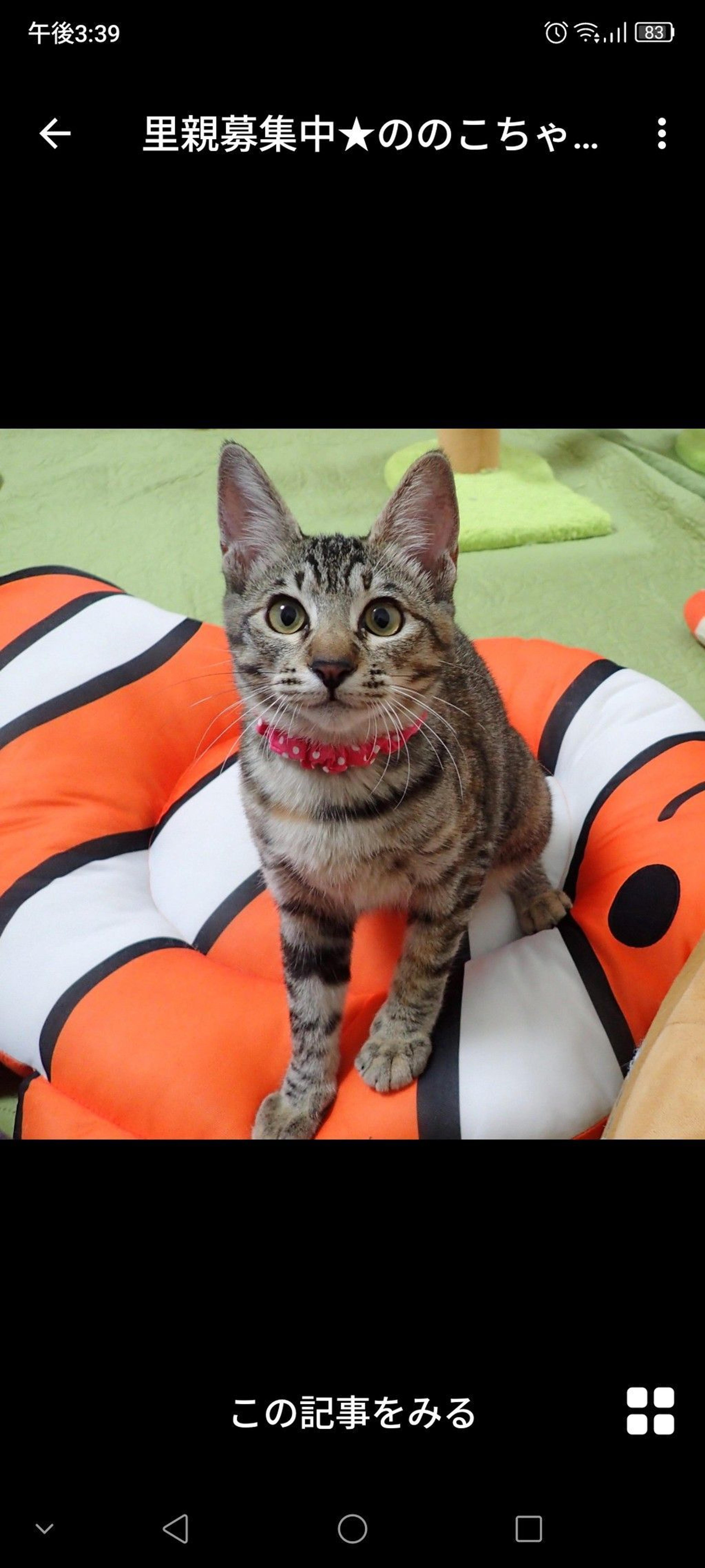 pet-image-3