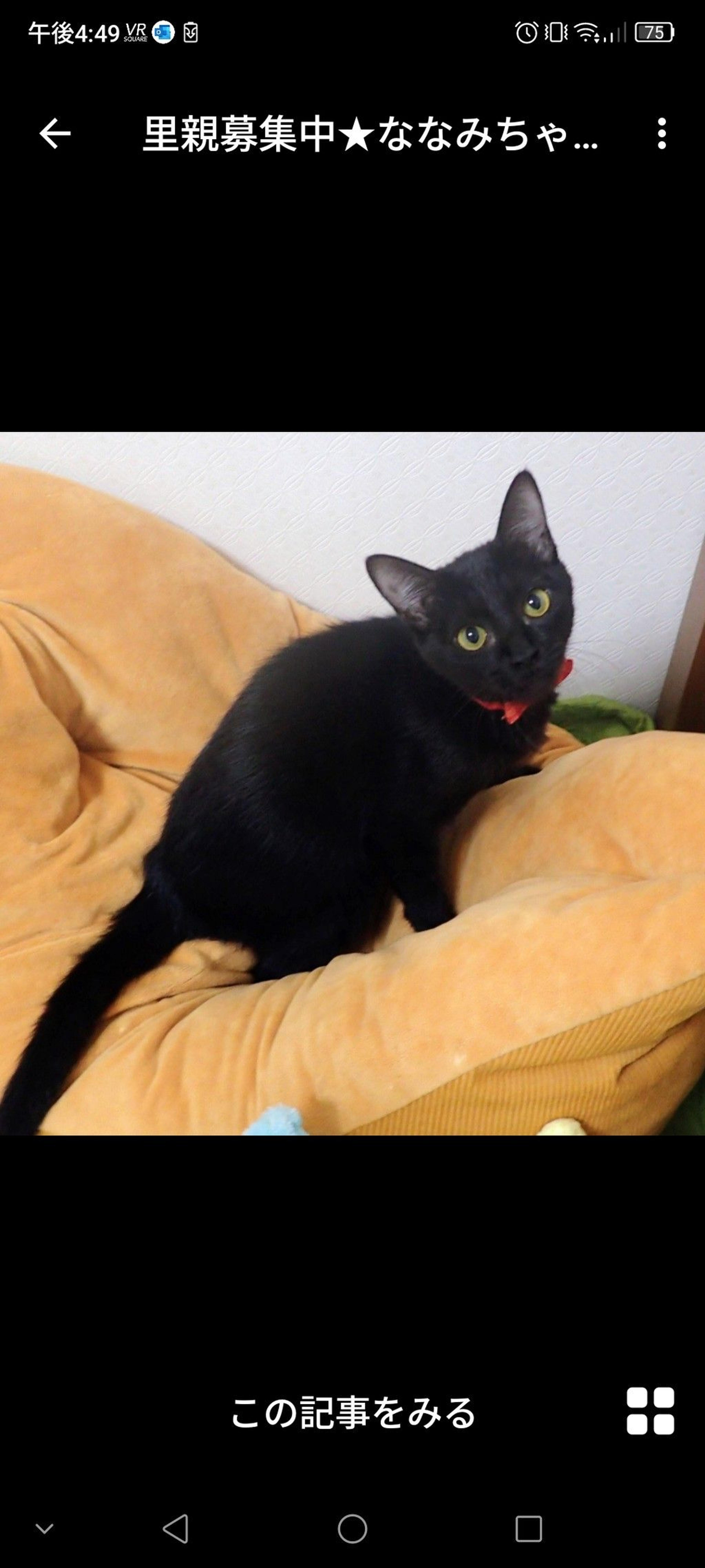 pet-image-2