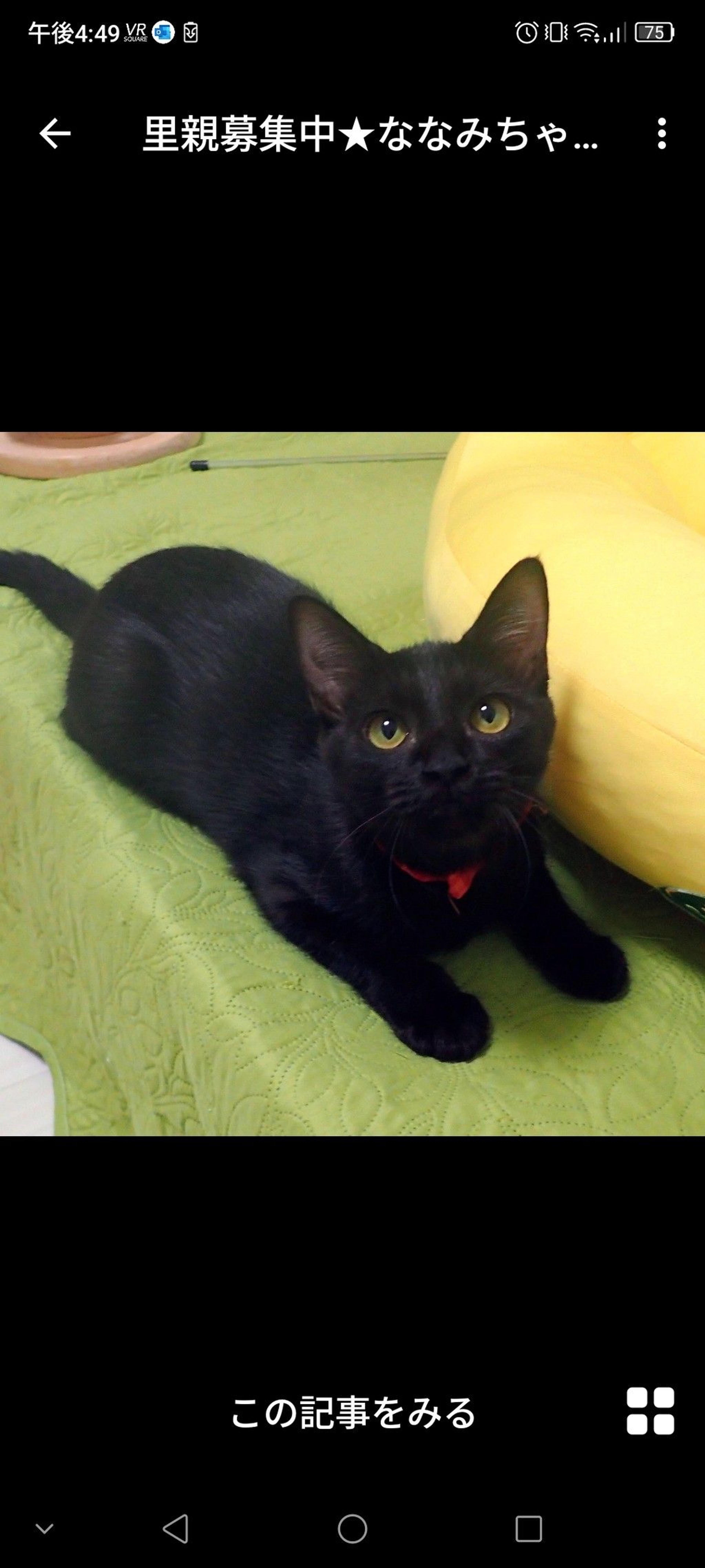 pet-image-3