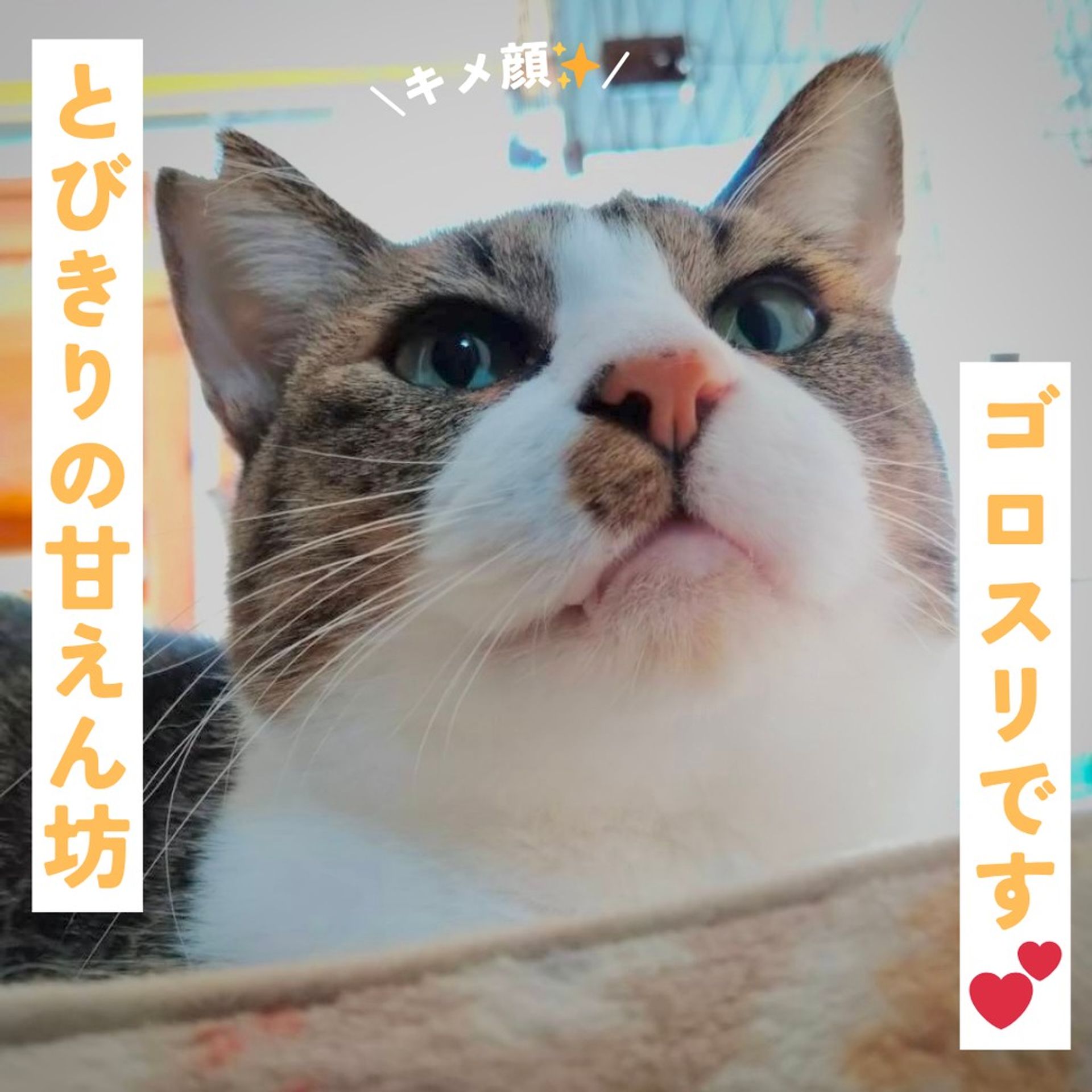 thumbnail-3