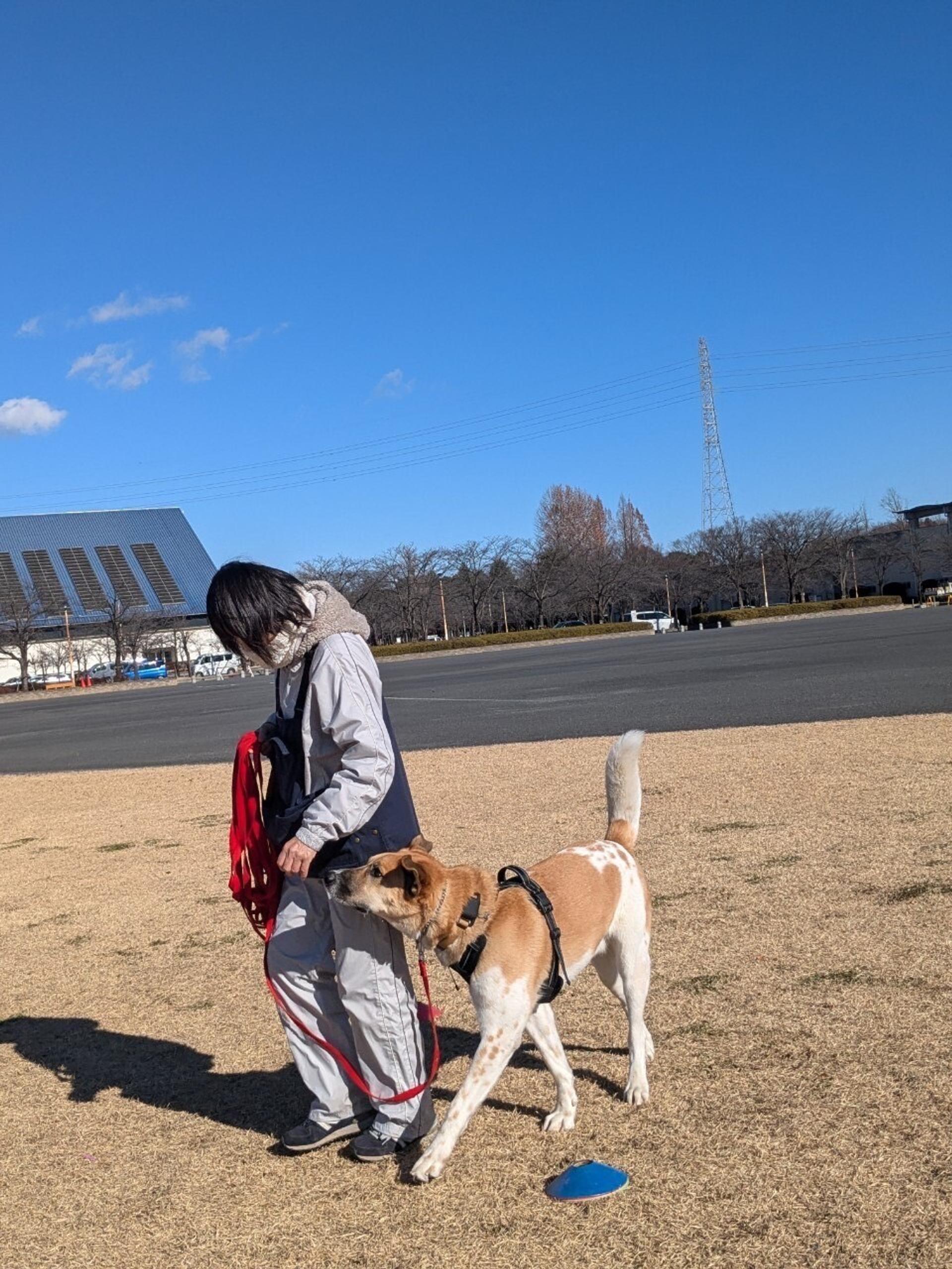 pet-image-6