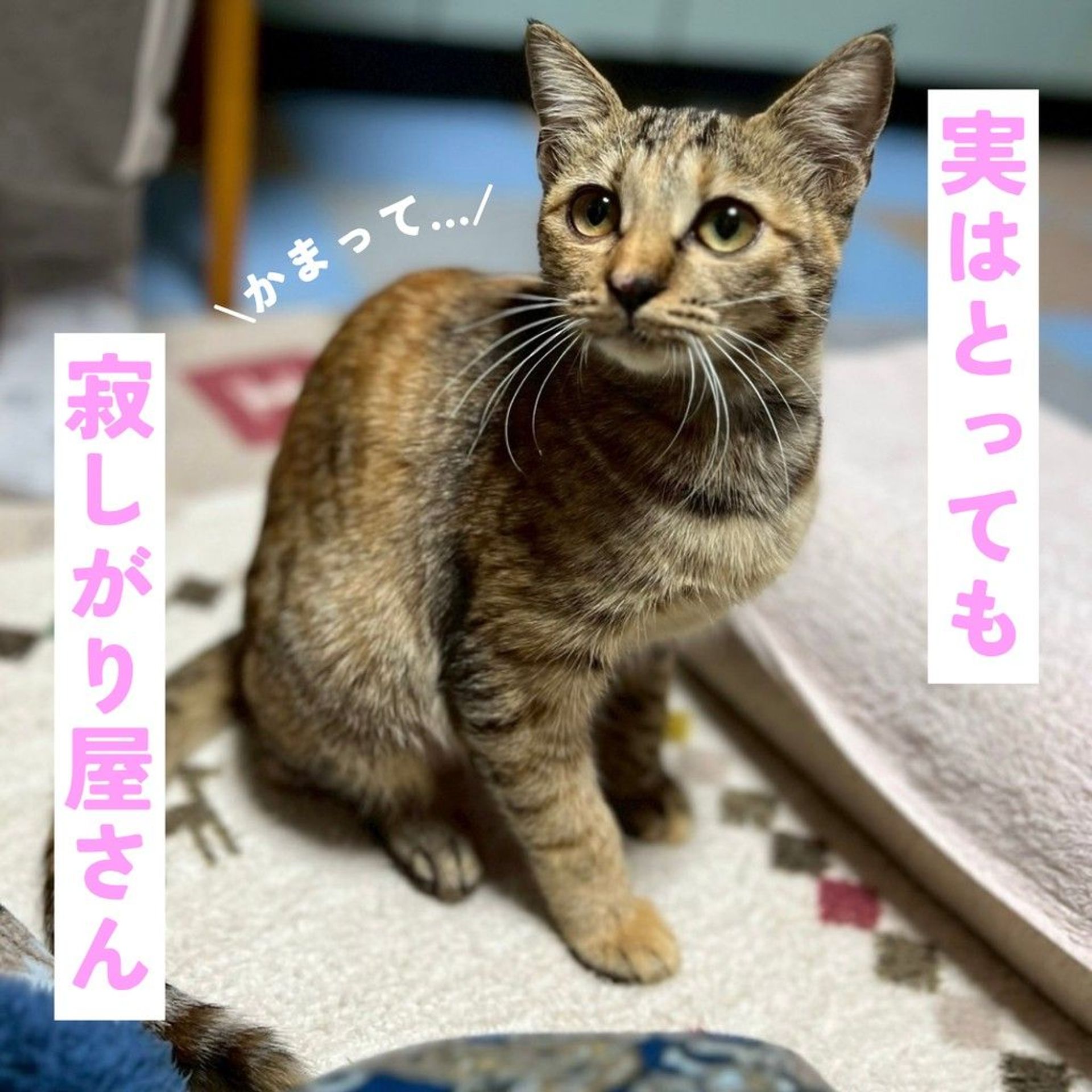 thumbnail-4