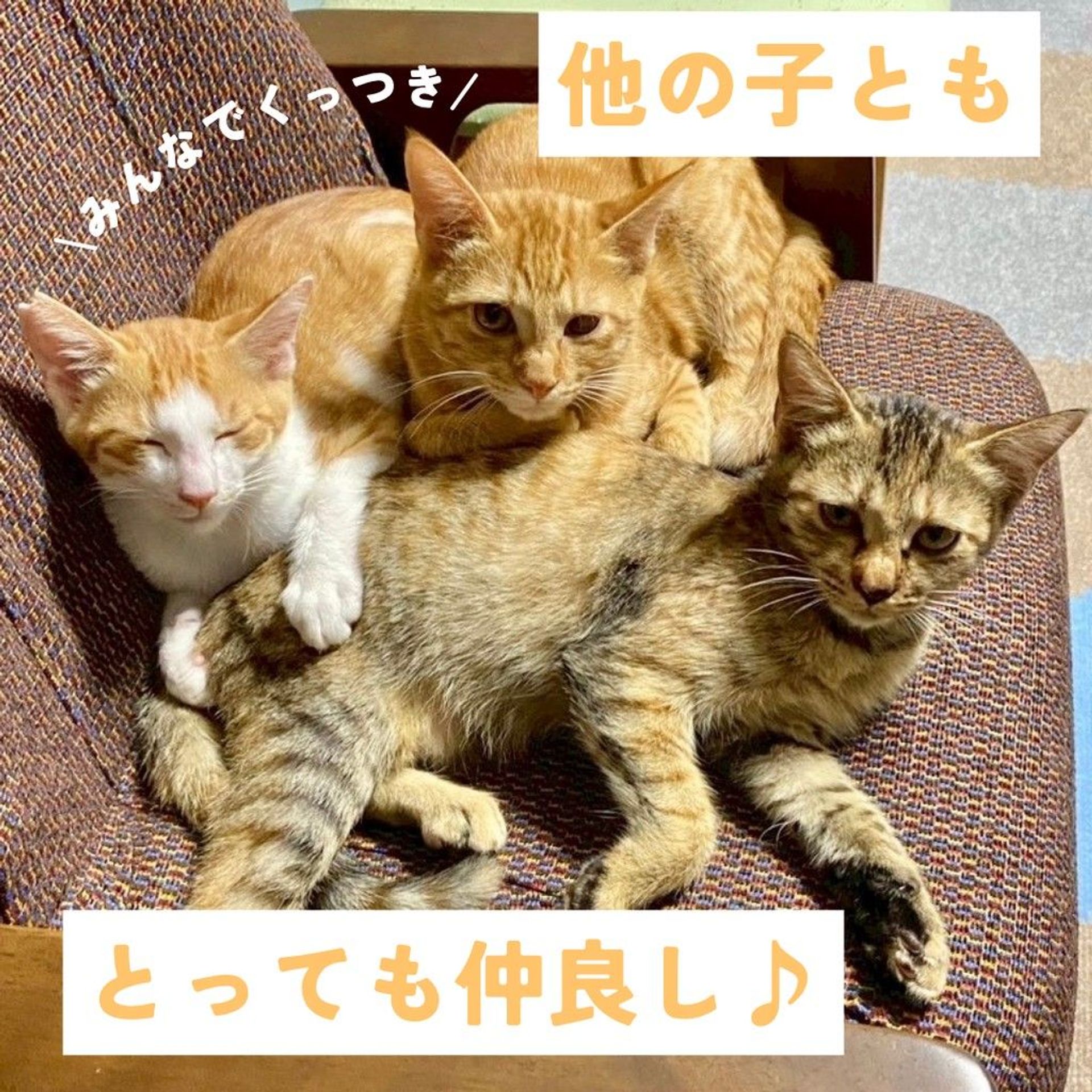 thumbnail-5