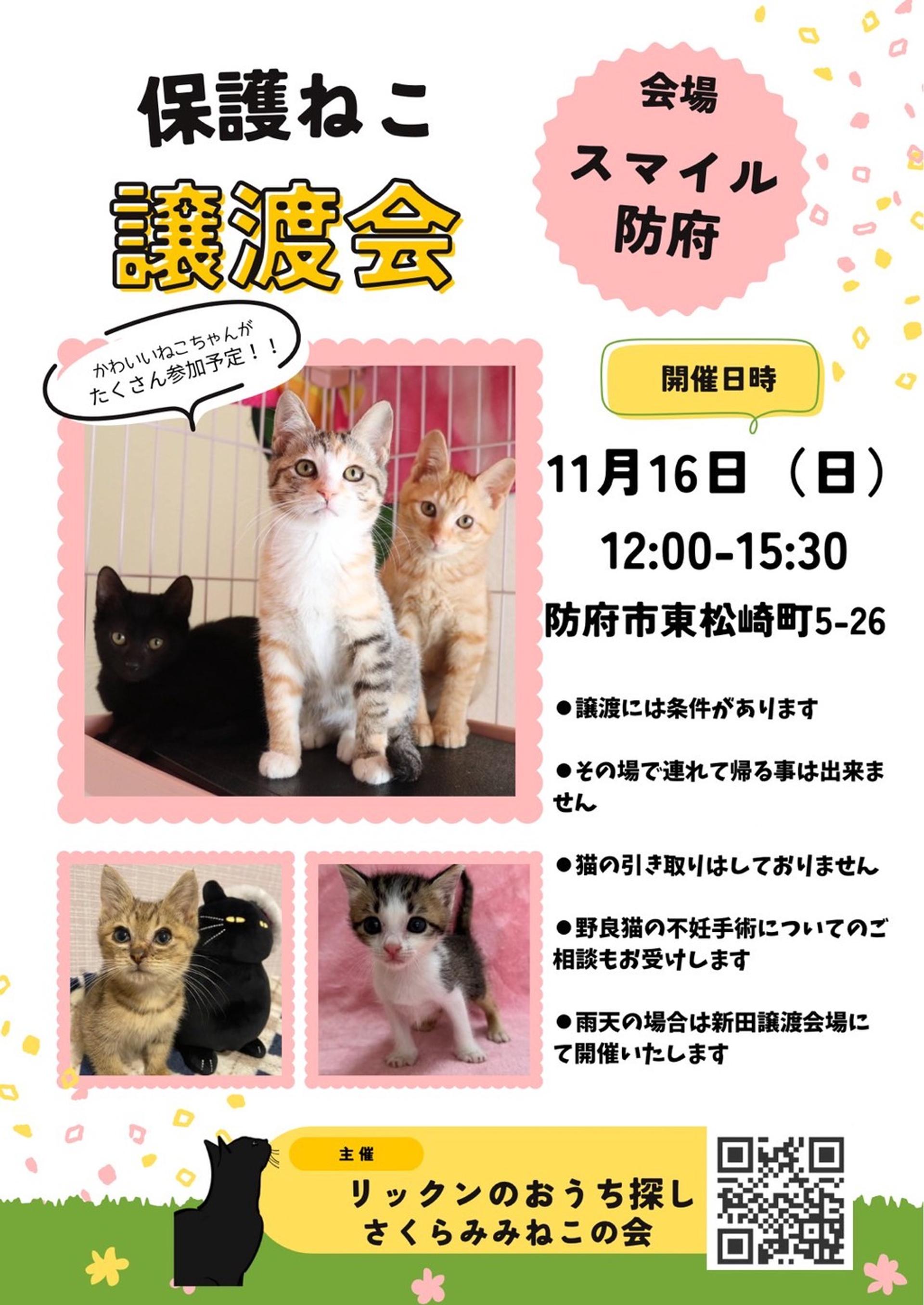 pet-image-4