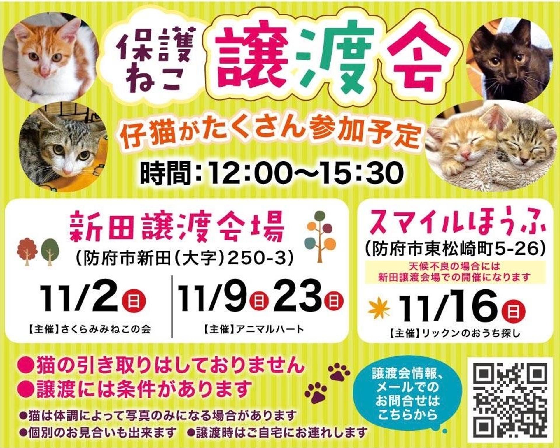 pet-image-4