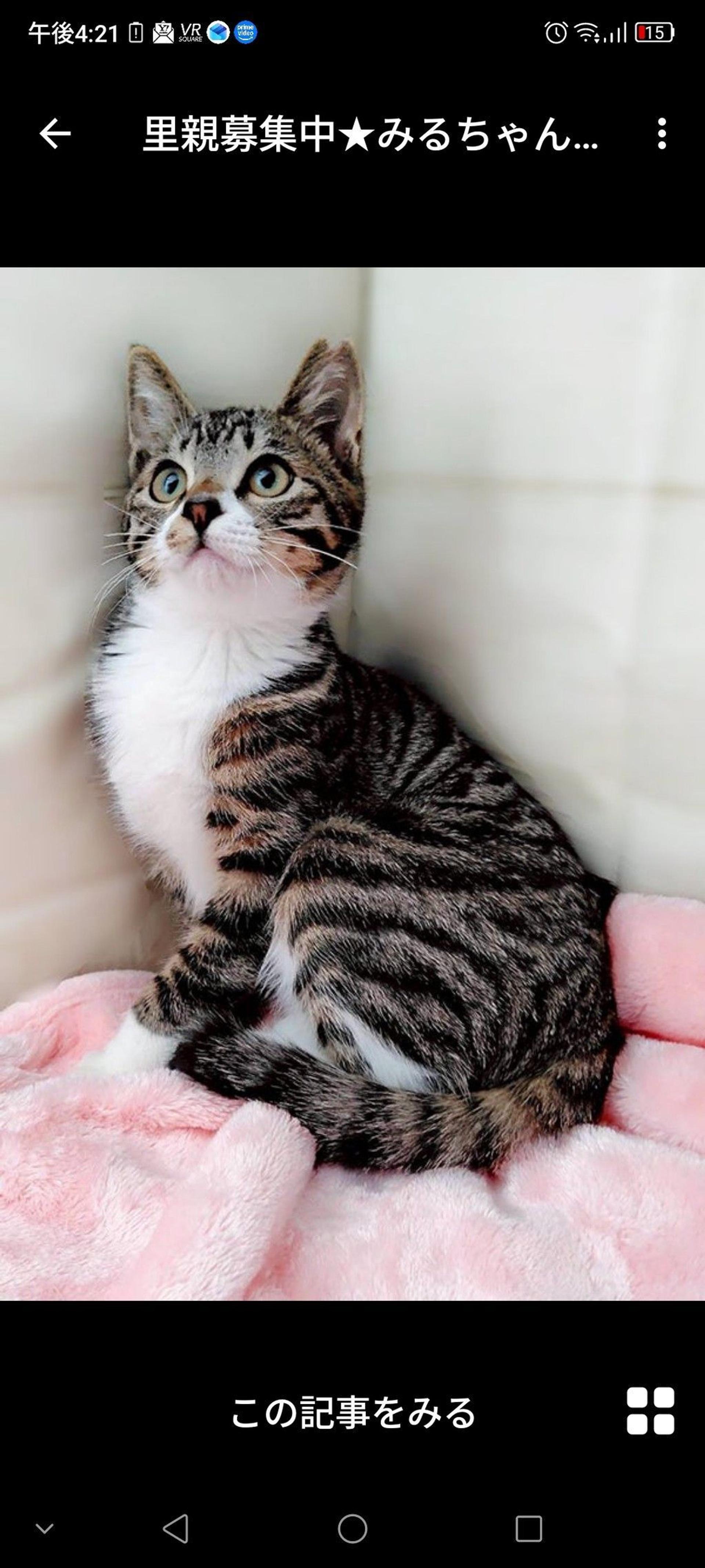 pet-image-2