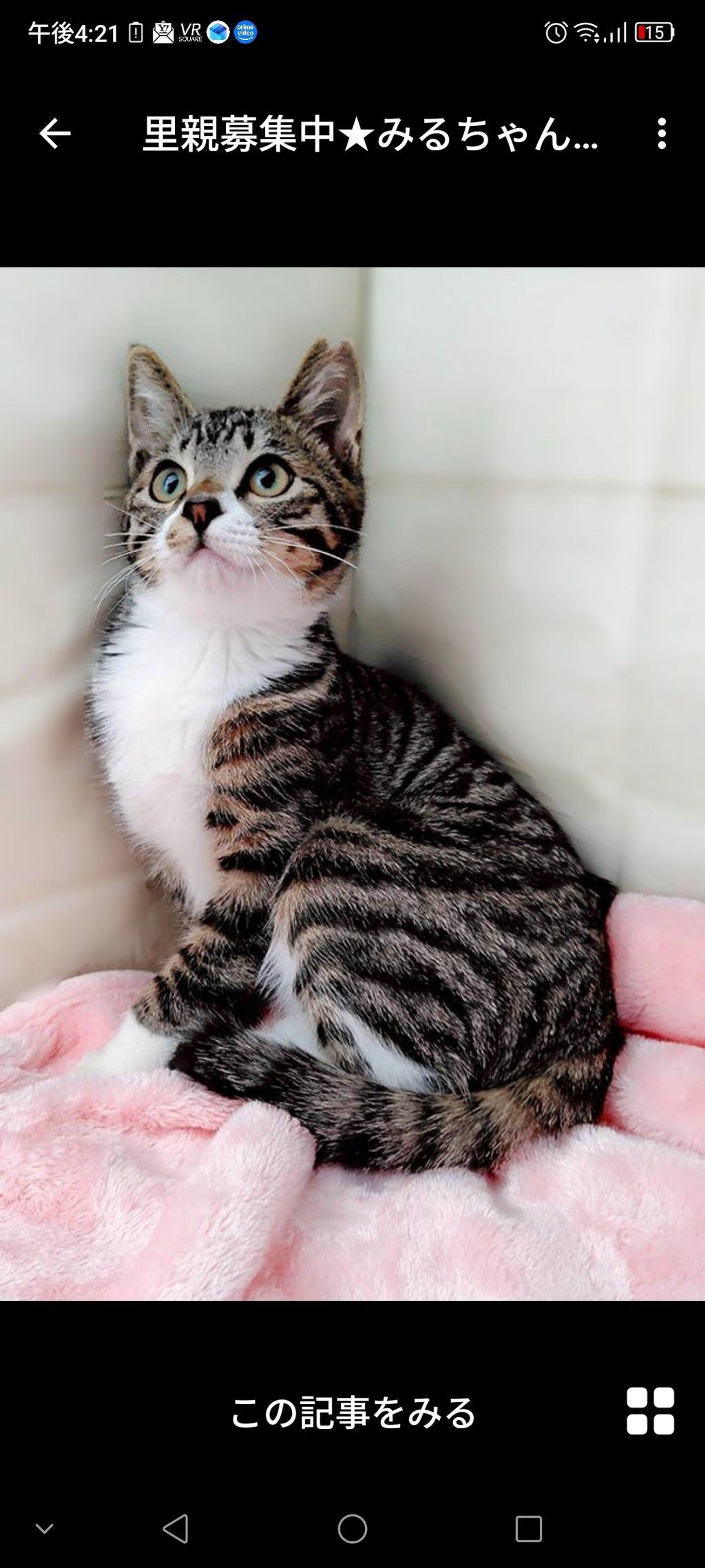 pet-image-2