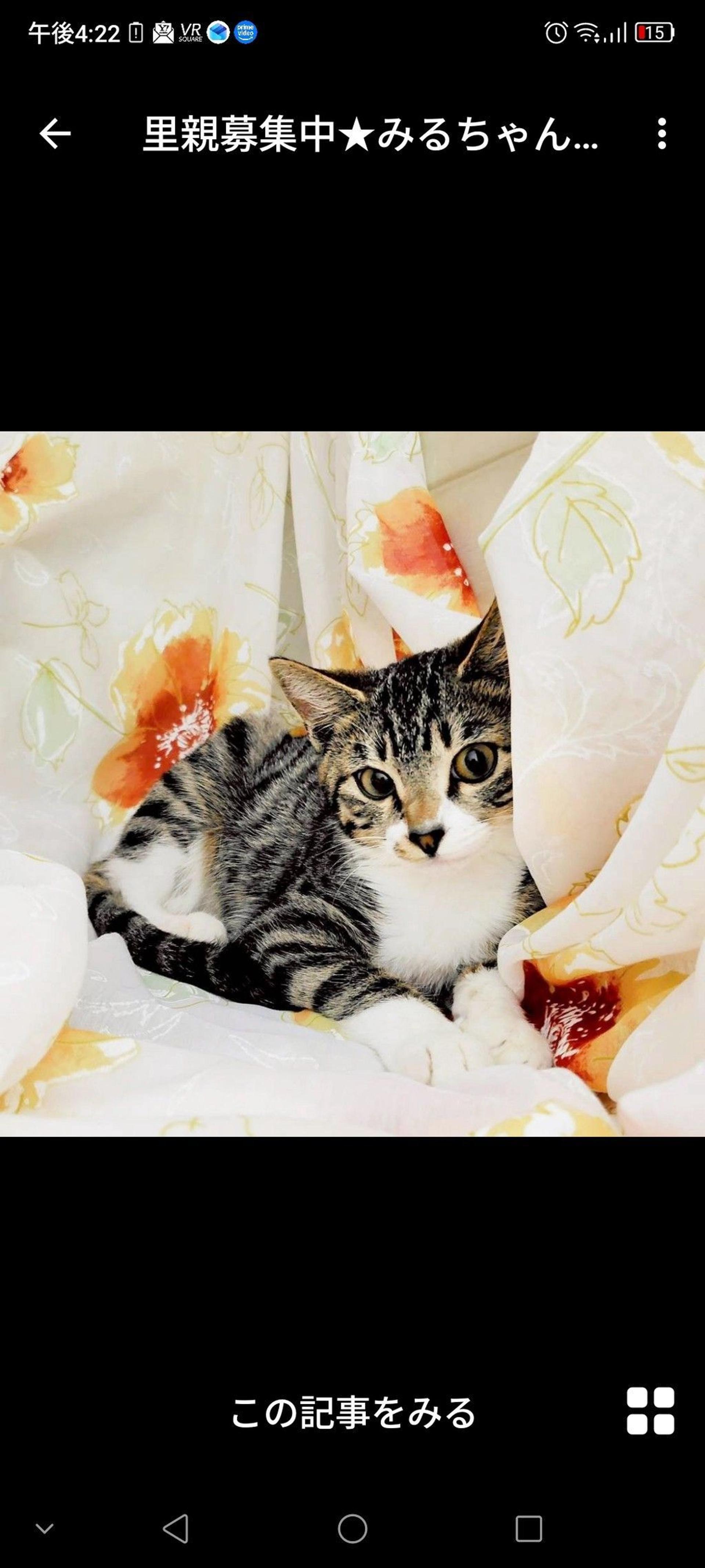 pet-image-3