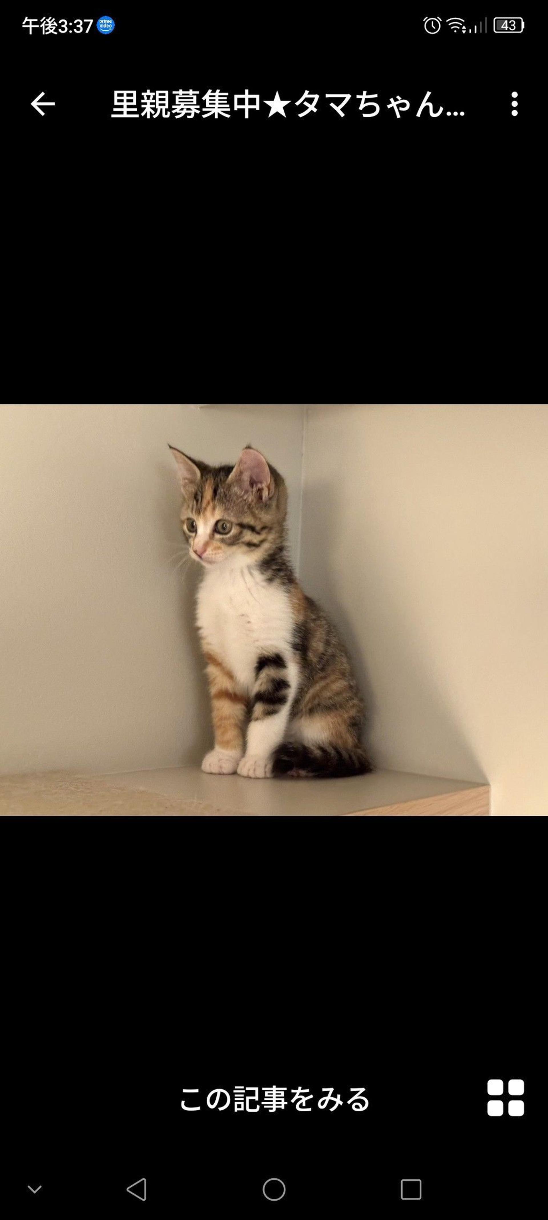 pet-image-2