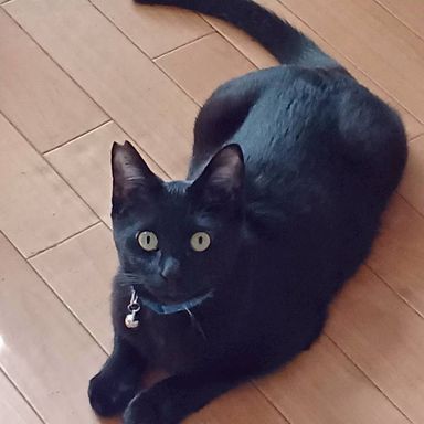 ピーターの写真