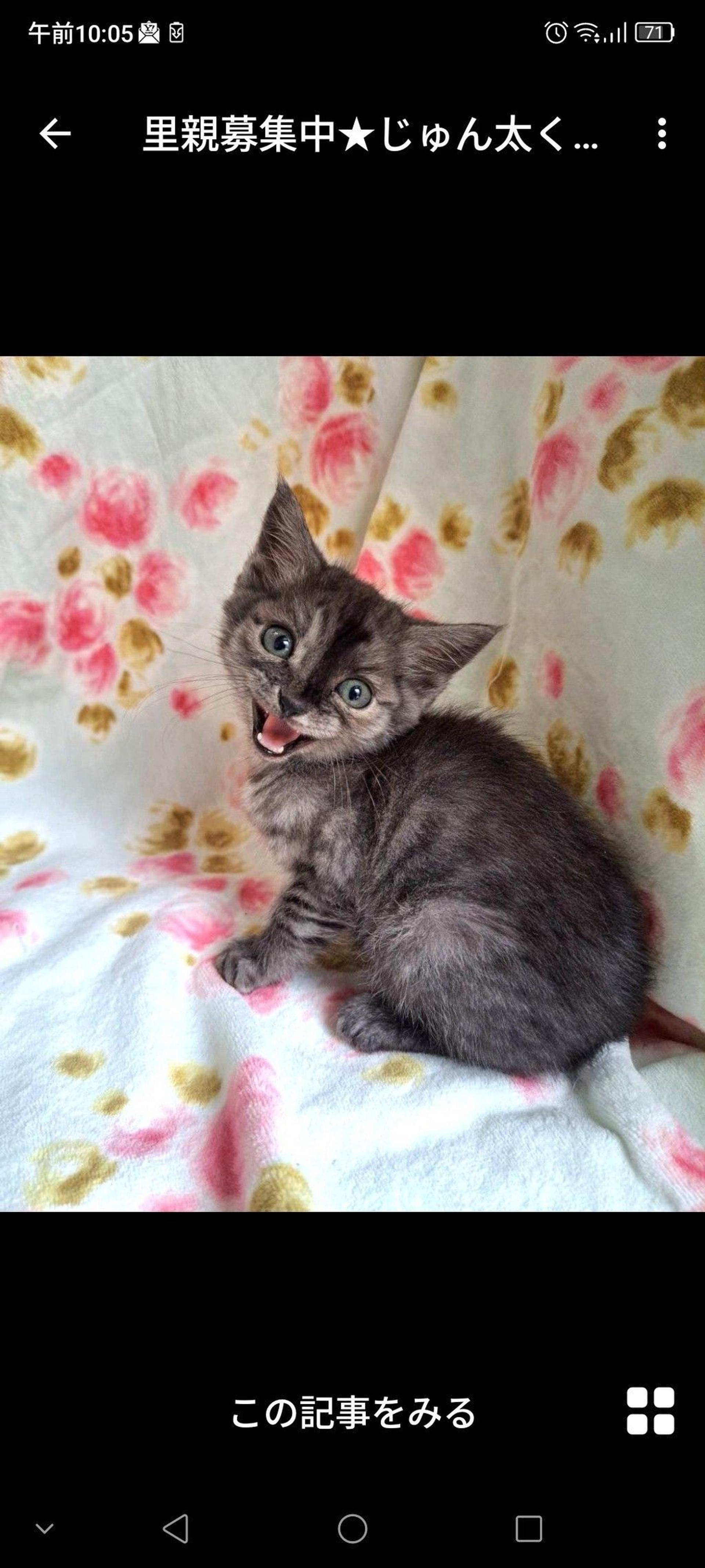 pet-image-3