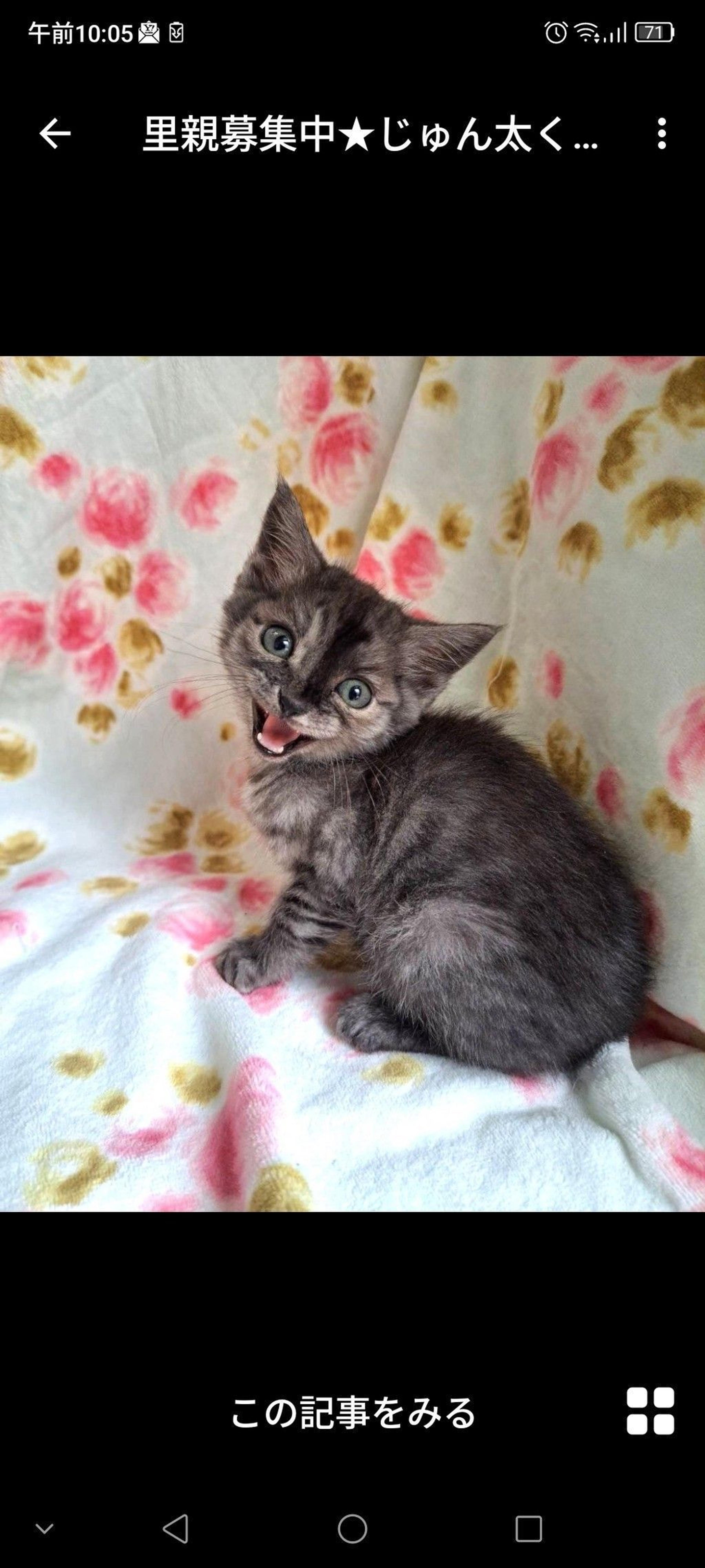 pet-image-3