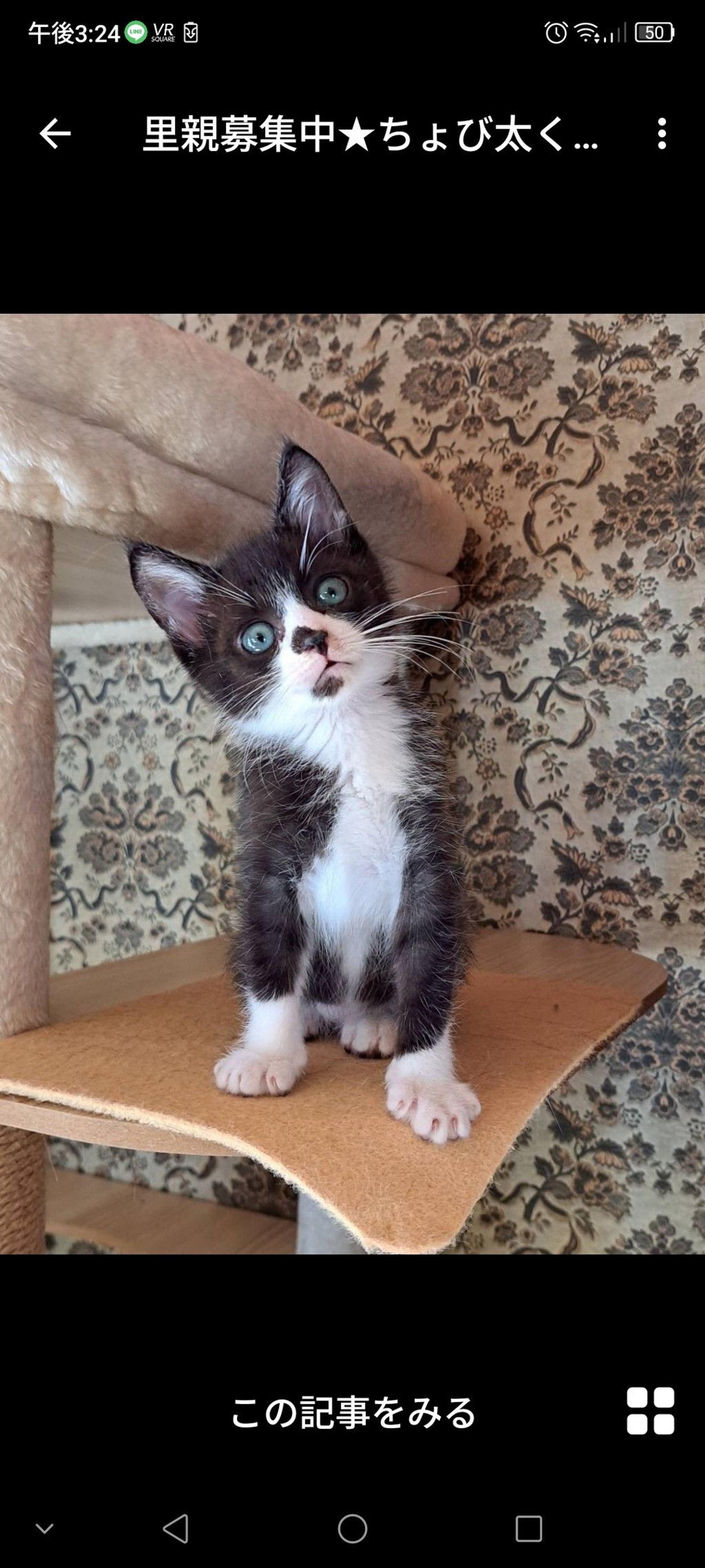 pet-image-3