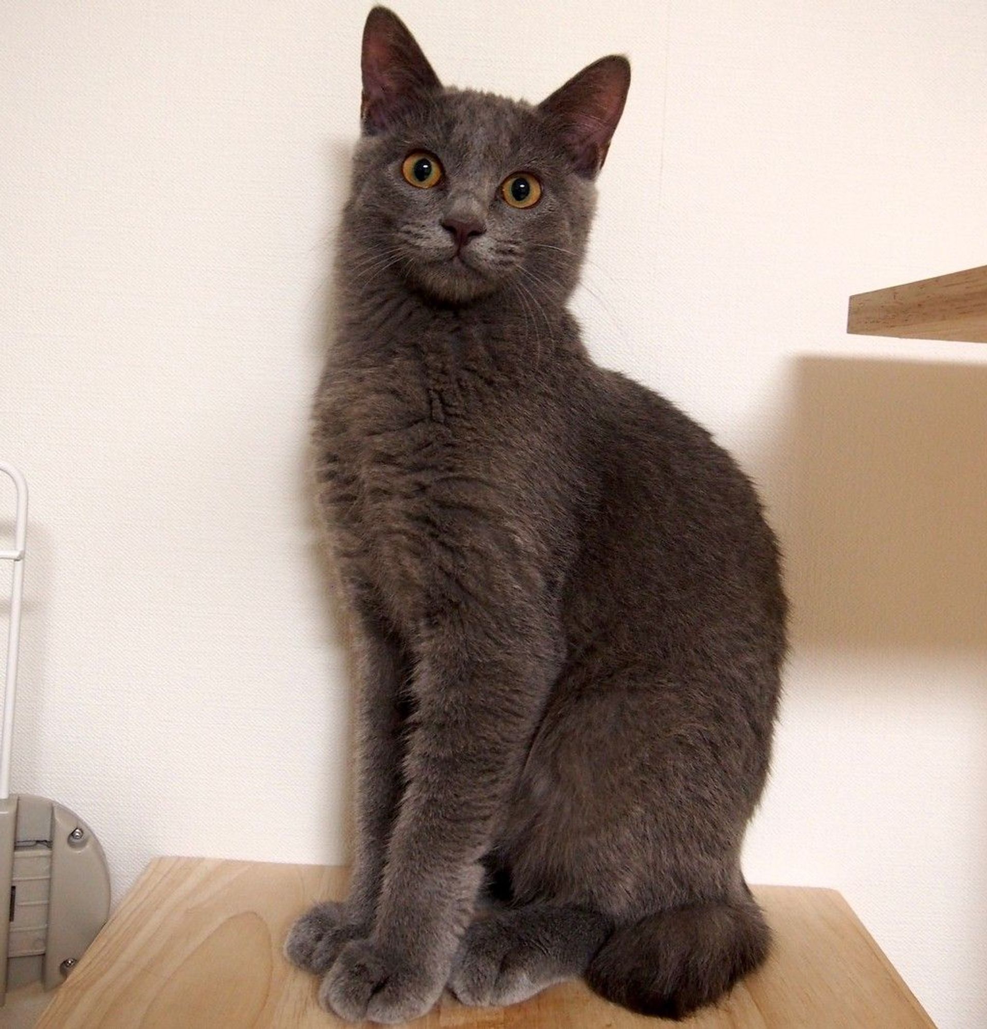 thumbnail-6