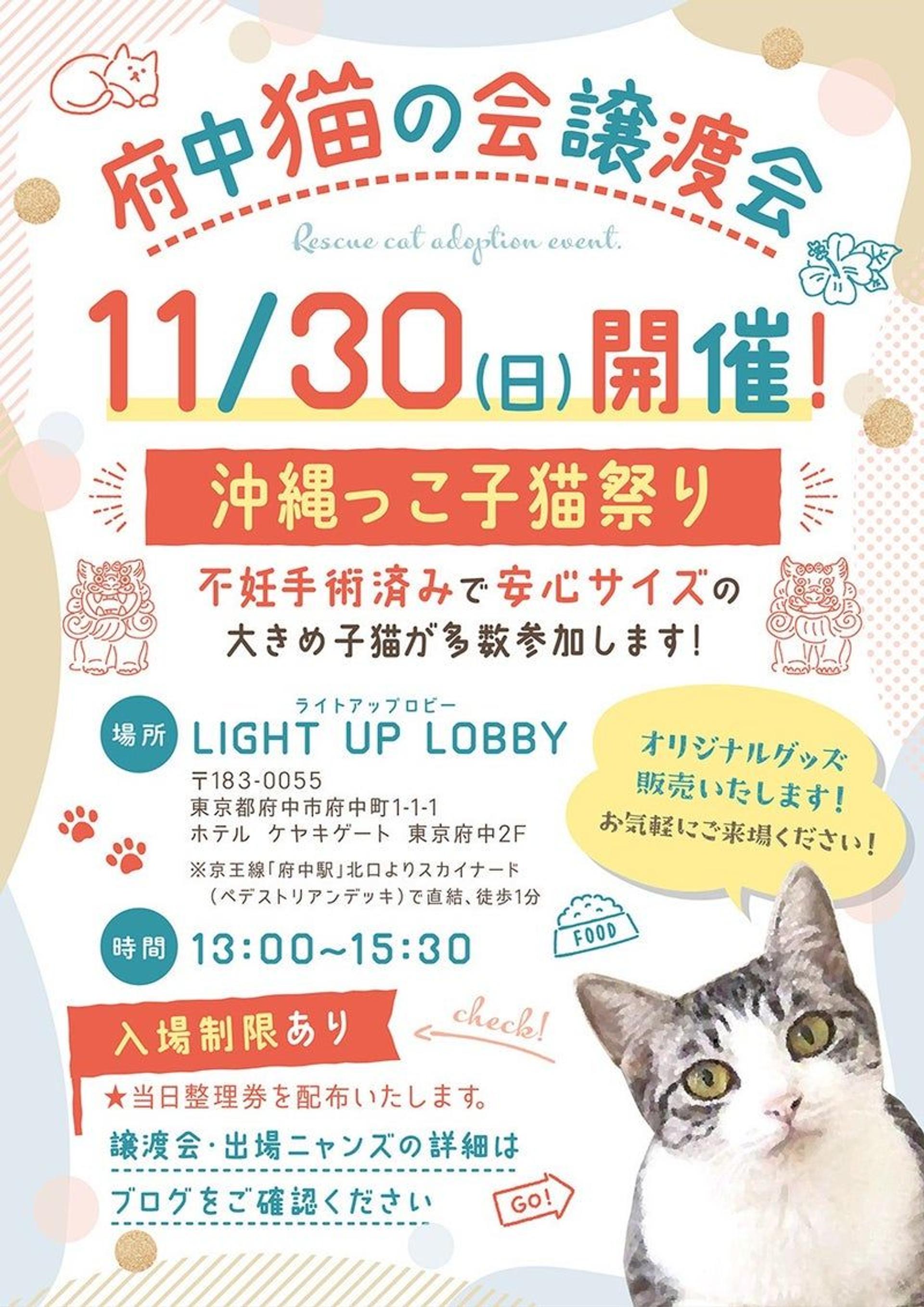 pet-image-6