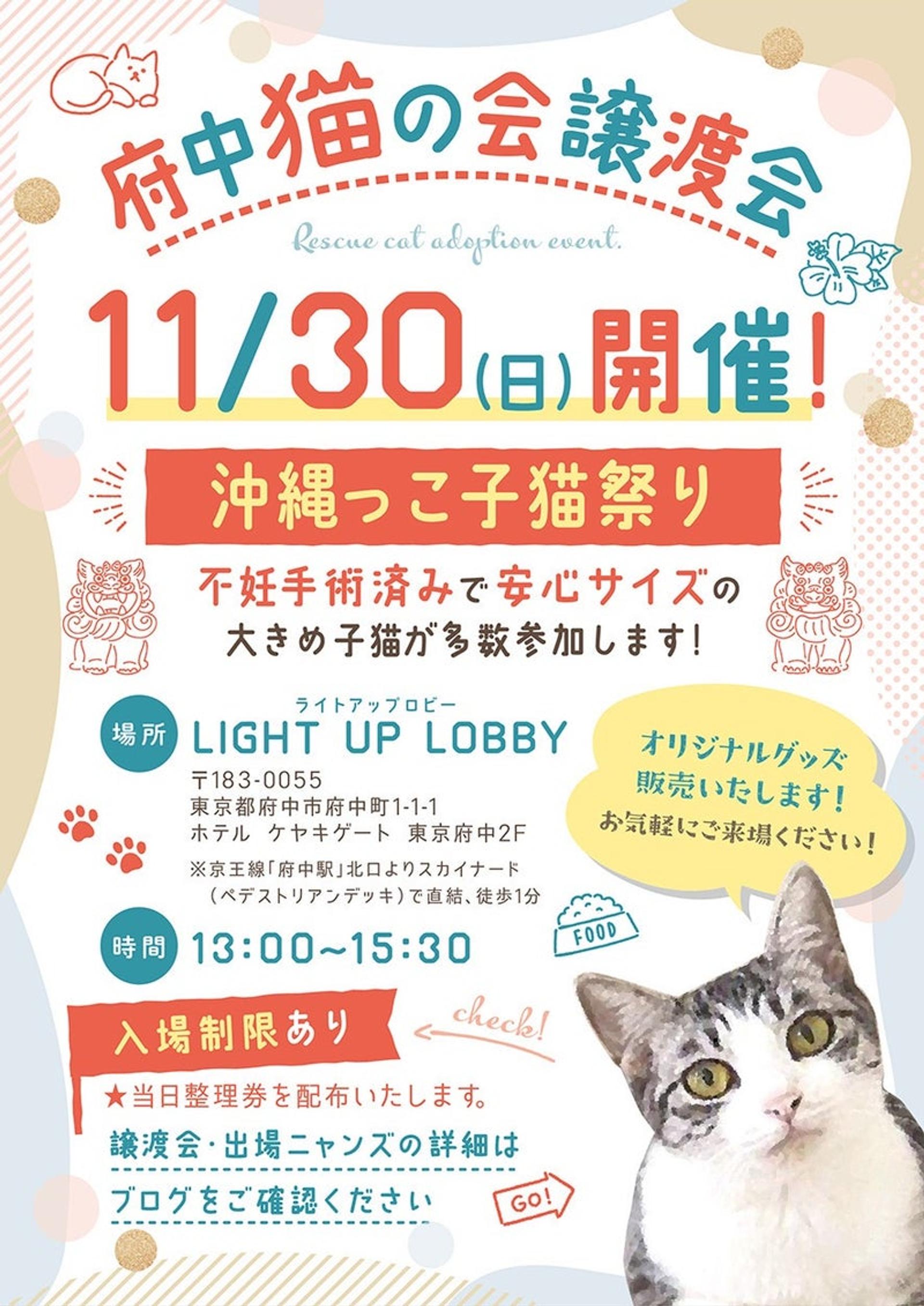 pet-image-5