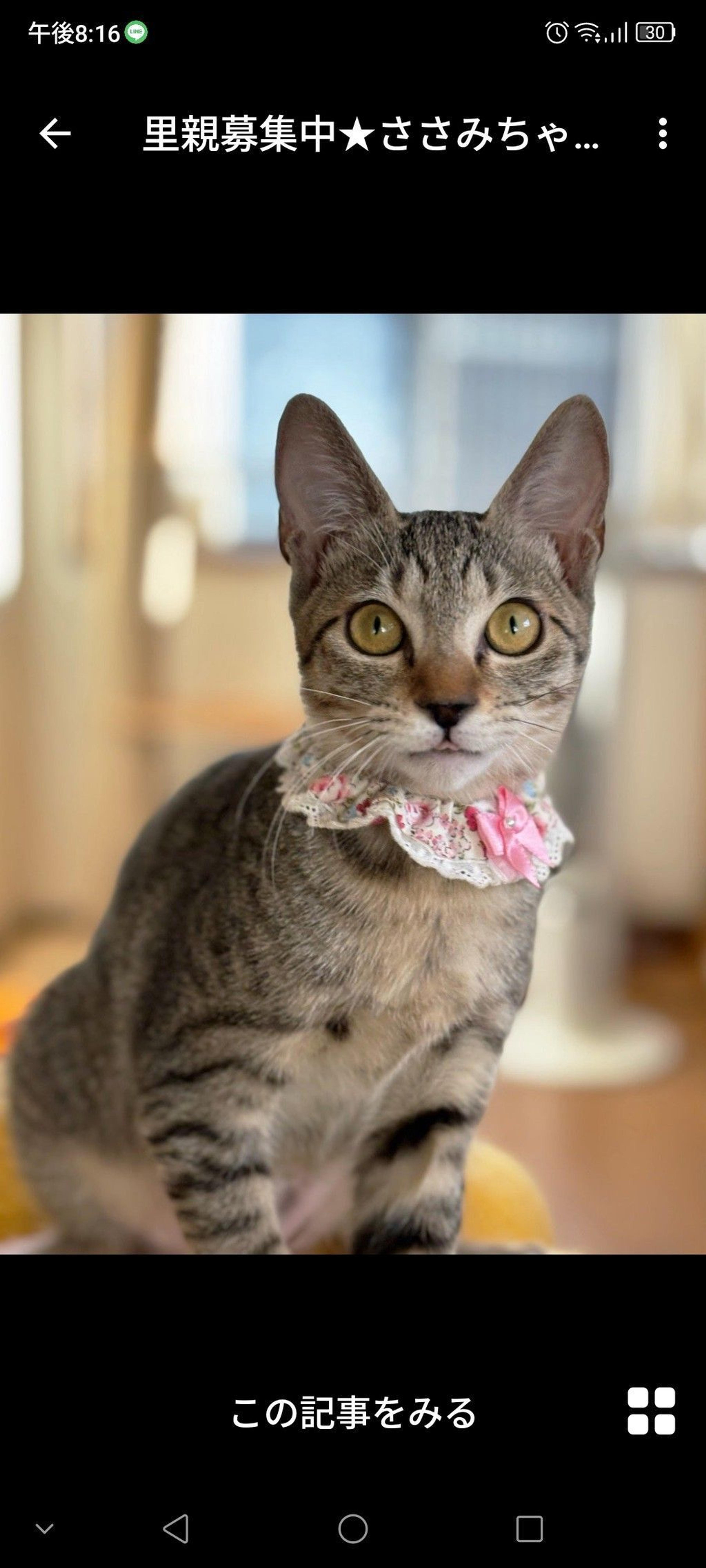 pet-image-3