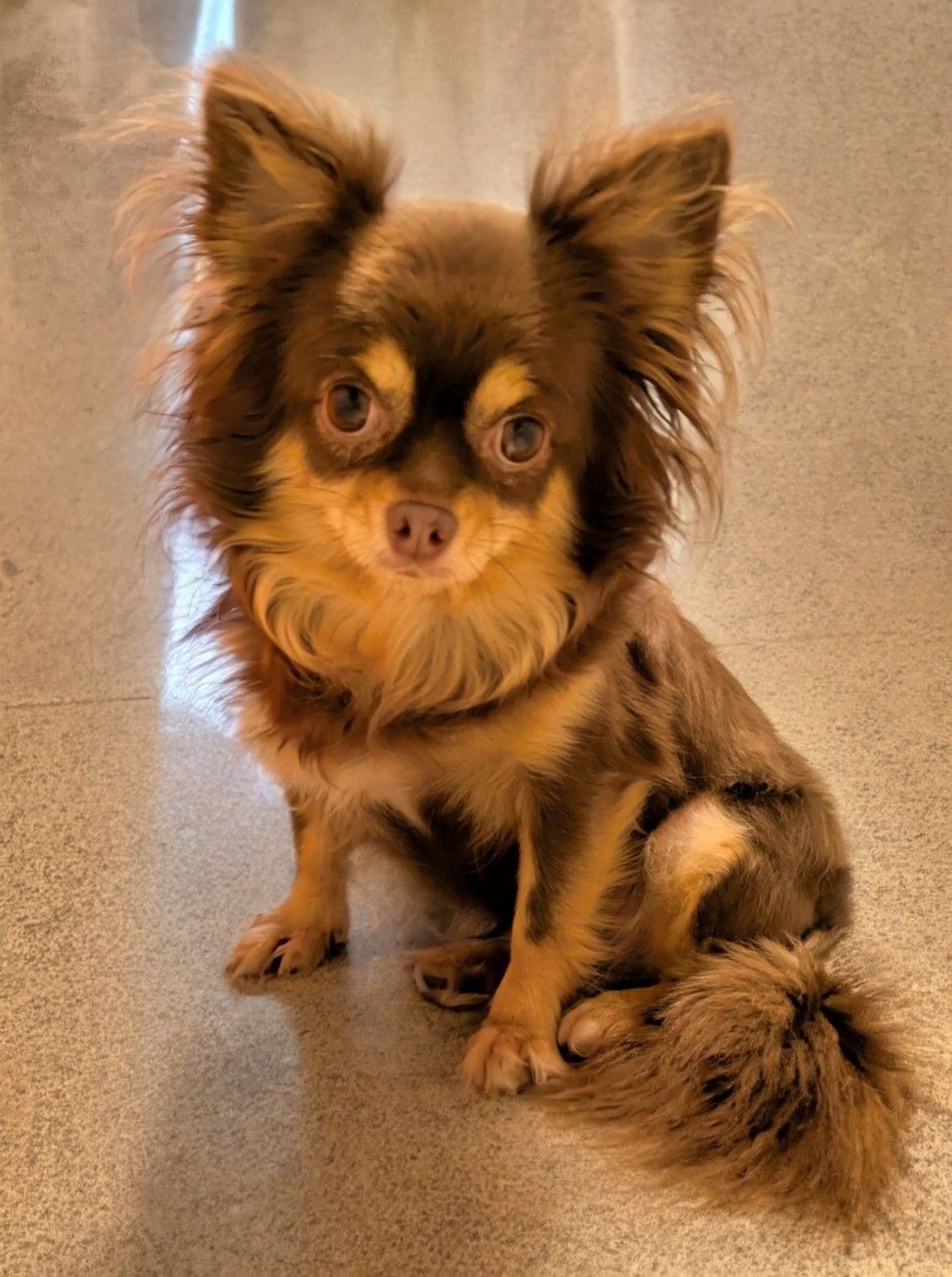 thumbnail-6