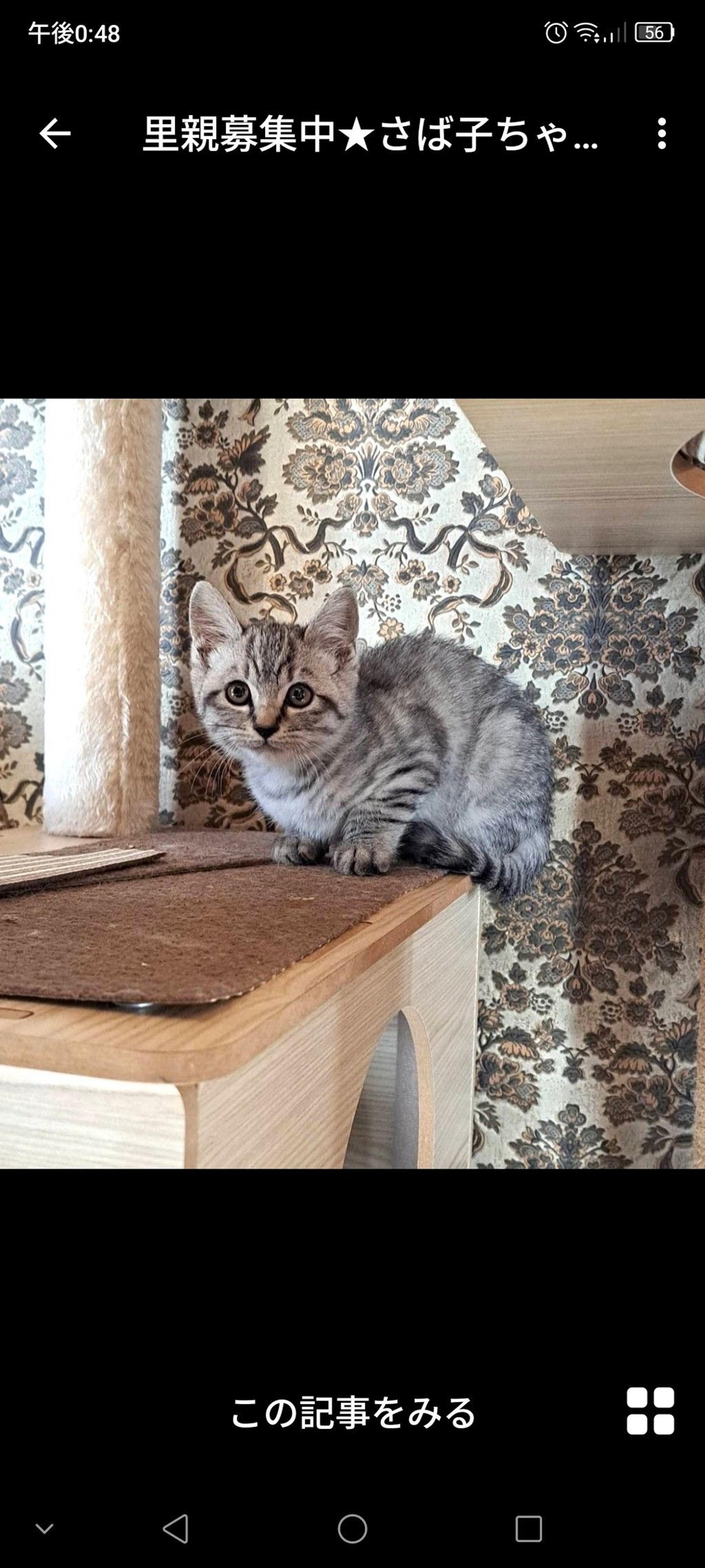 pet-image-2