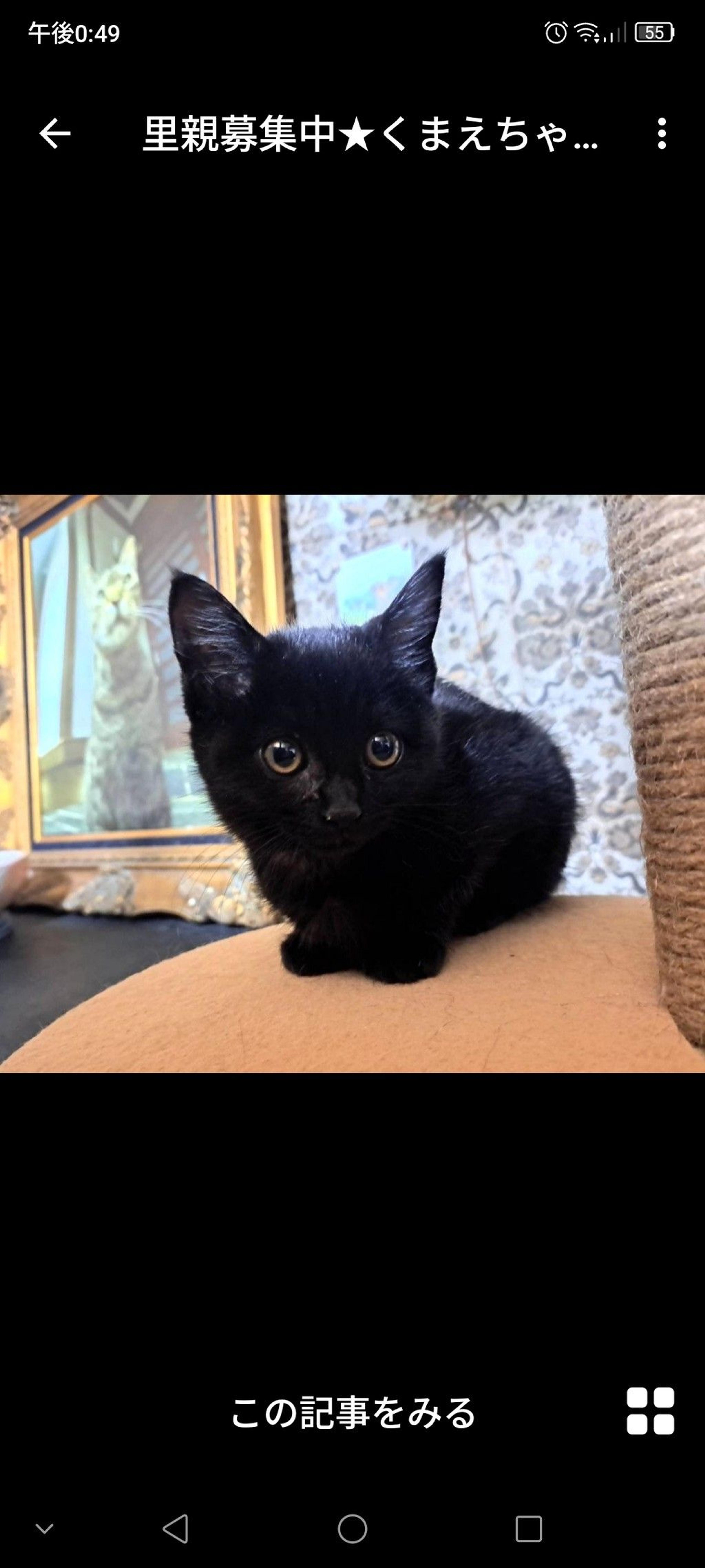 pet-image-2