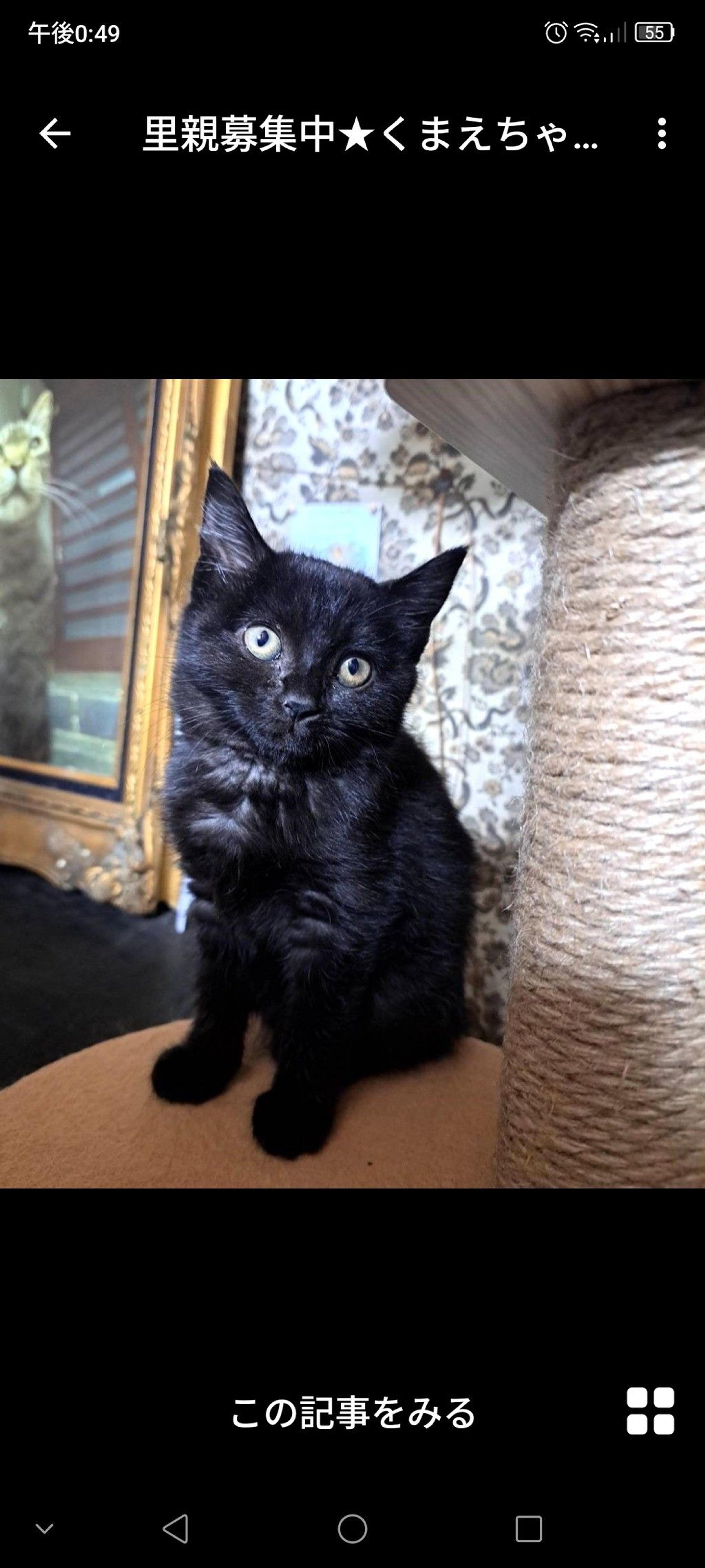 pet-image-3