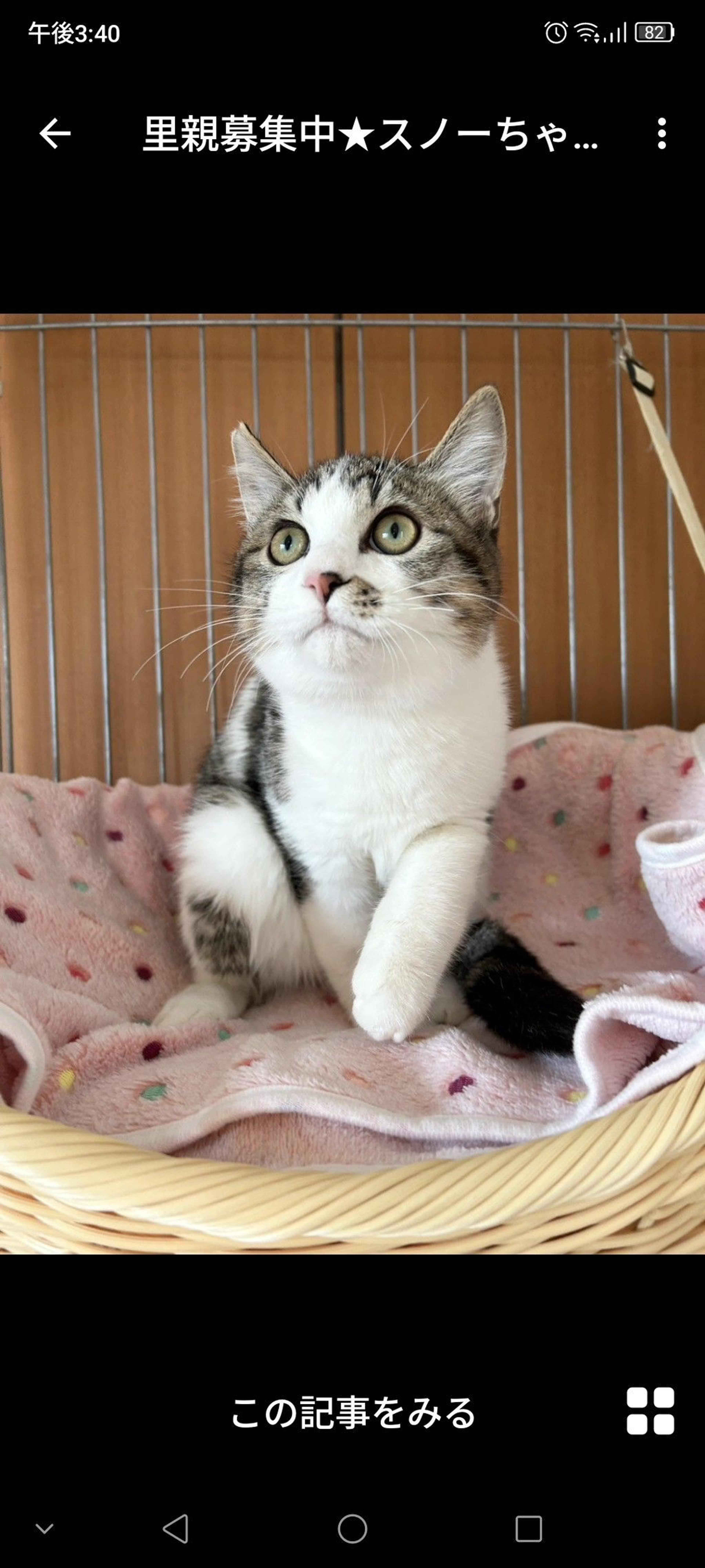 pet-image-2