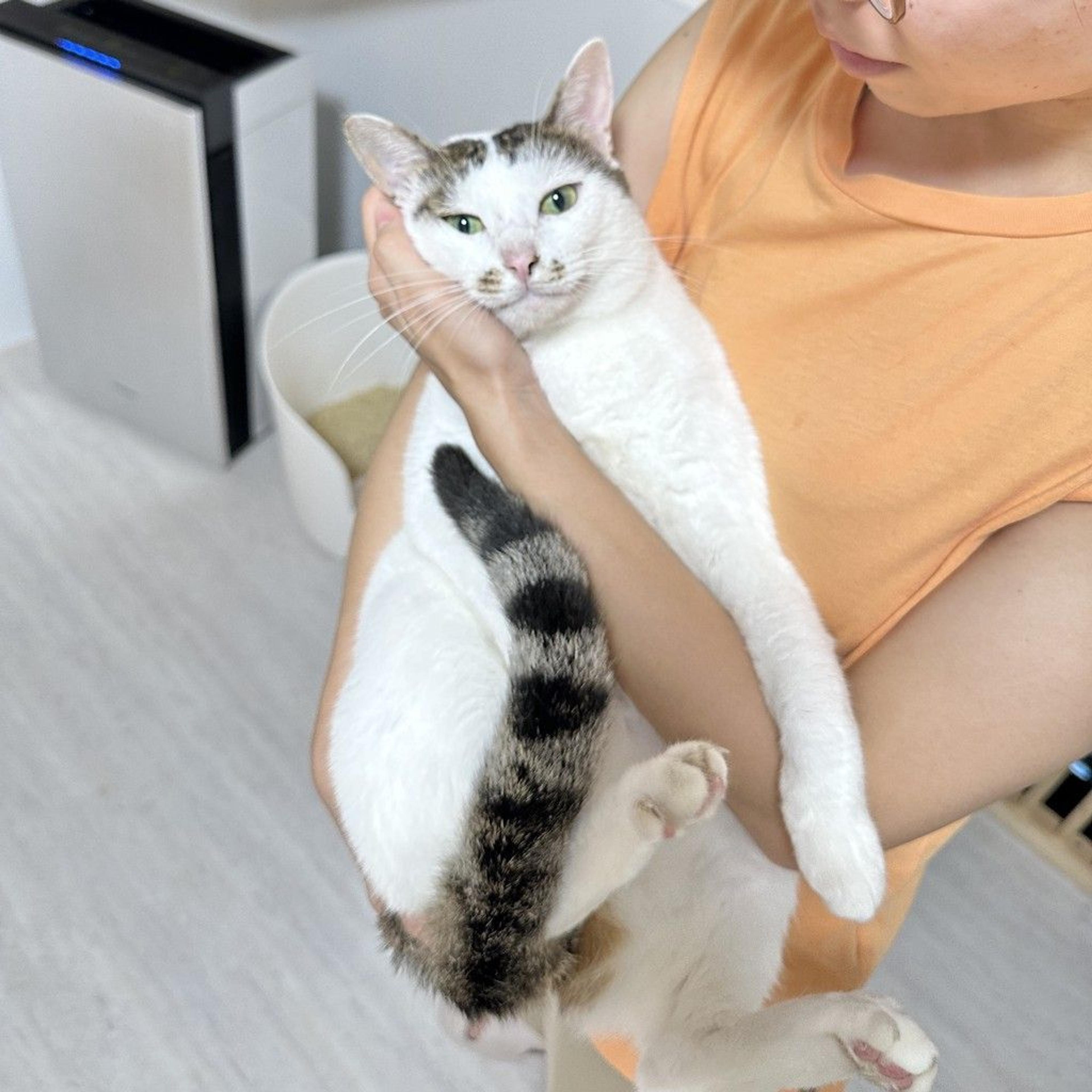 pet-image-6