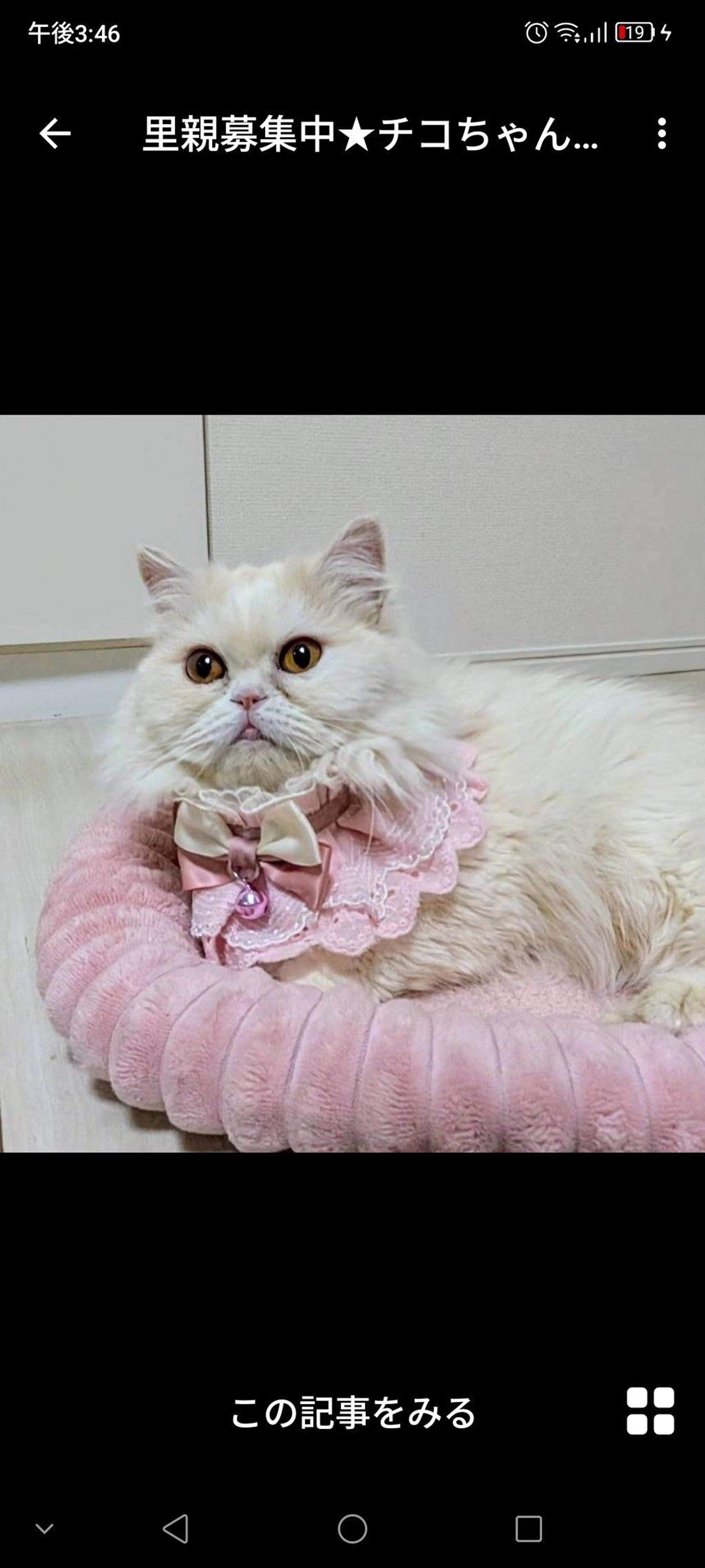 pet-image-2