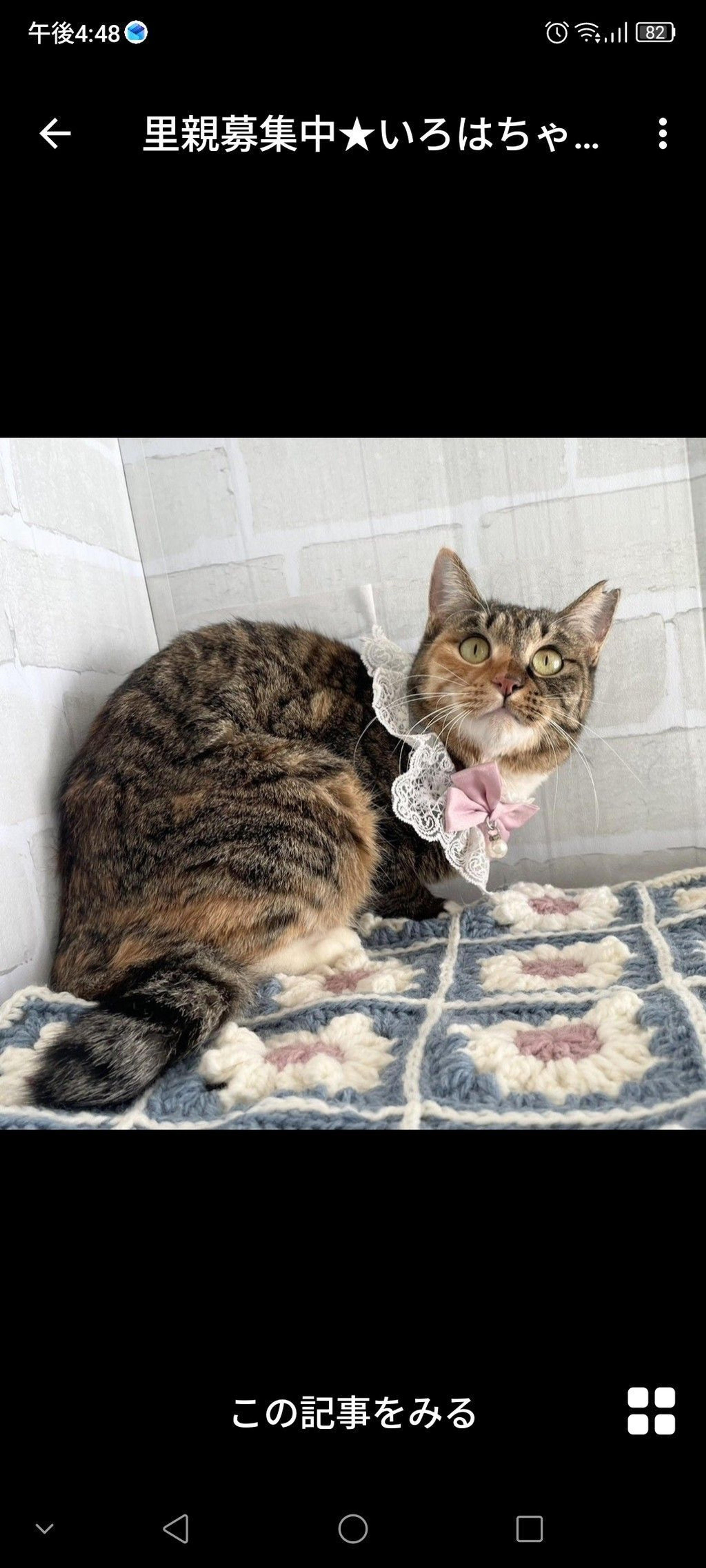 pet-image-3