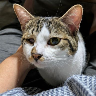キキの写真