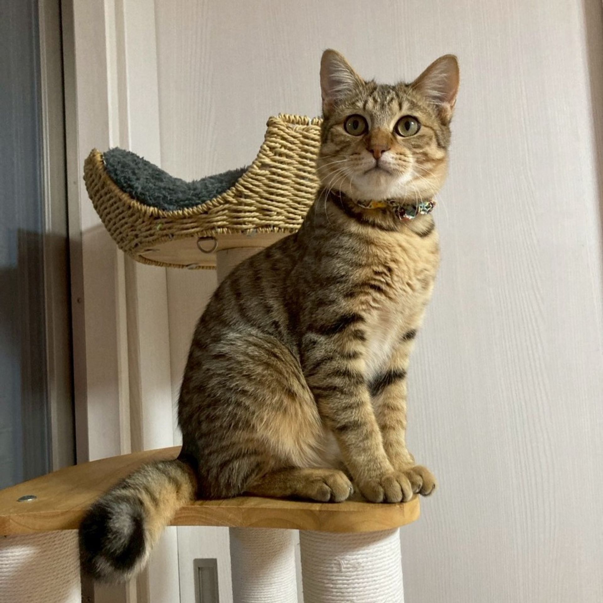 thumbnail-4