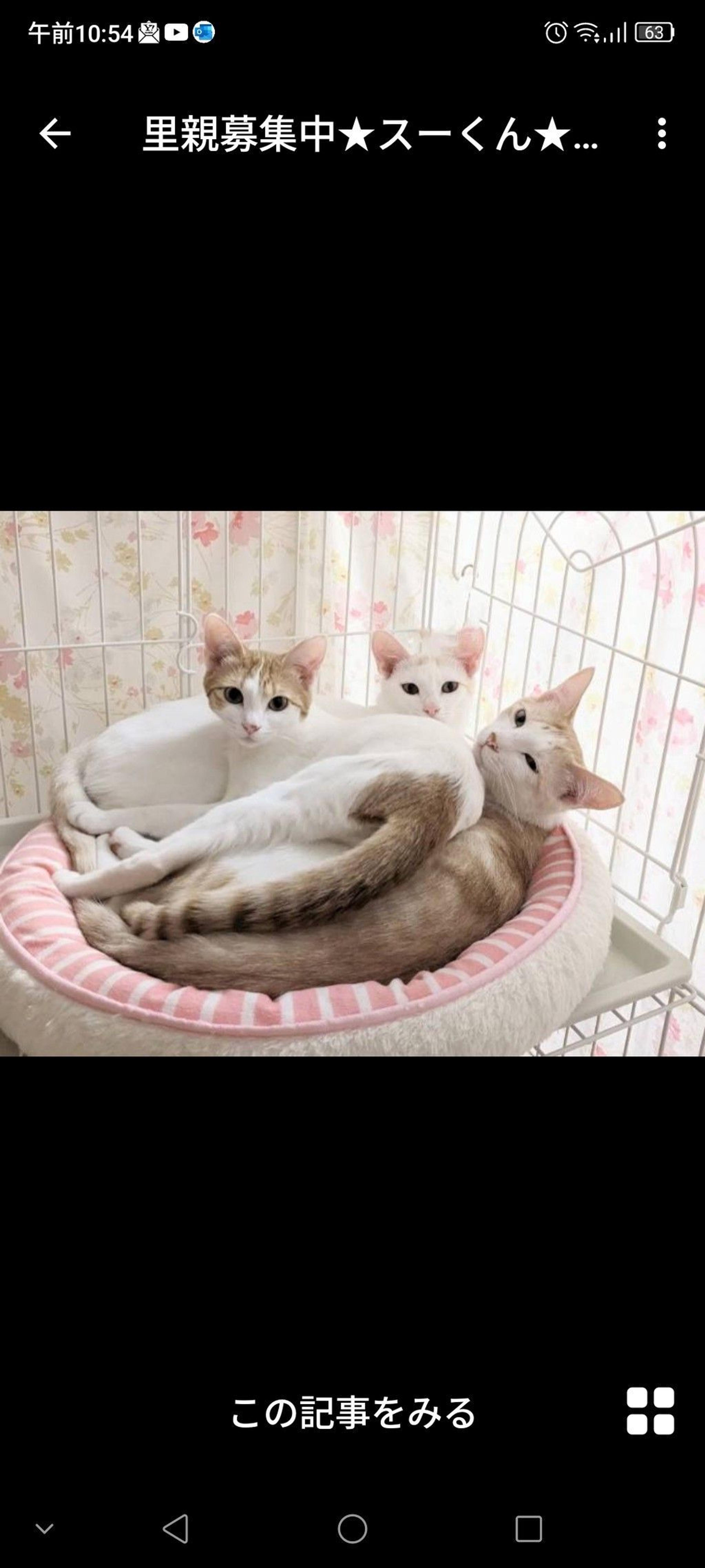 pet-image-3