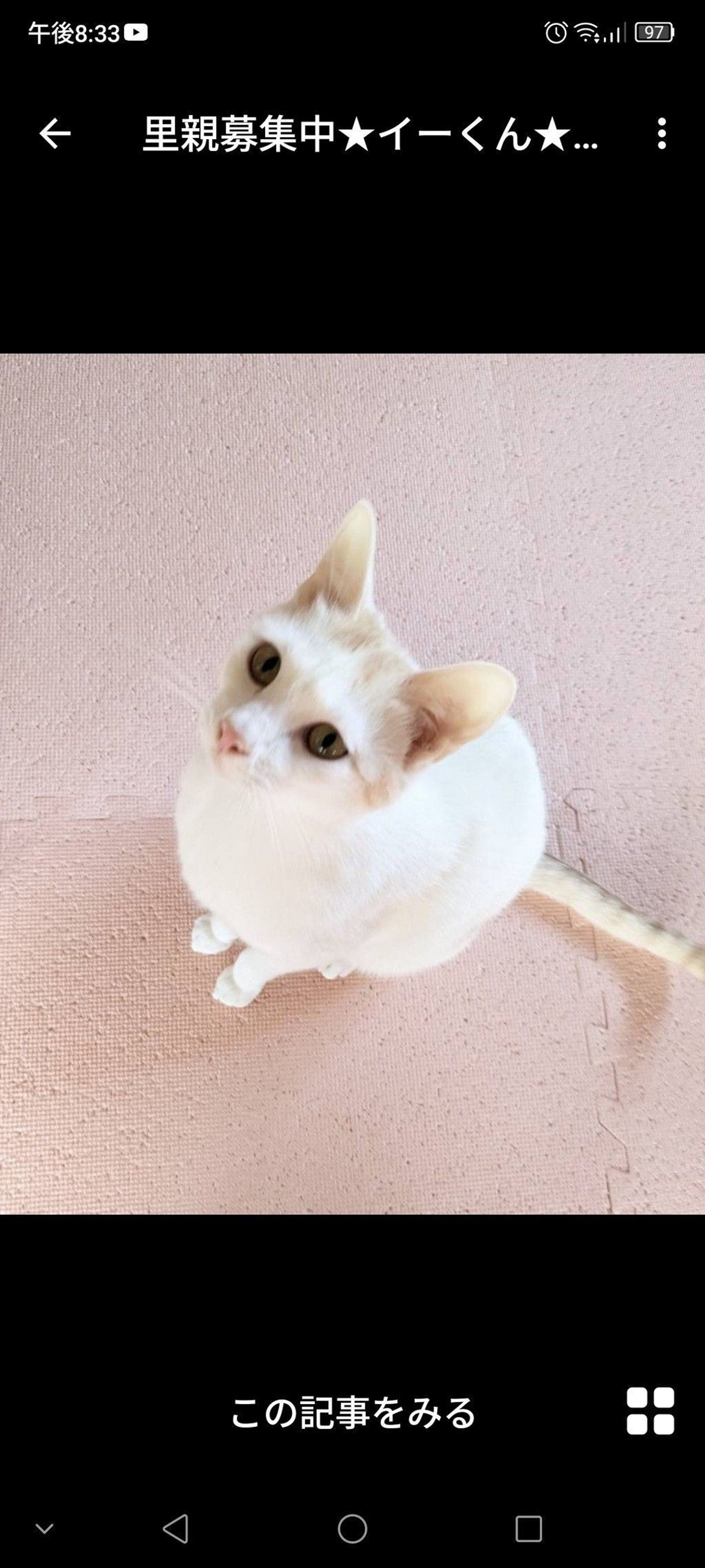 pet-image-2