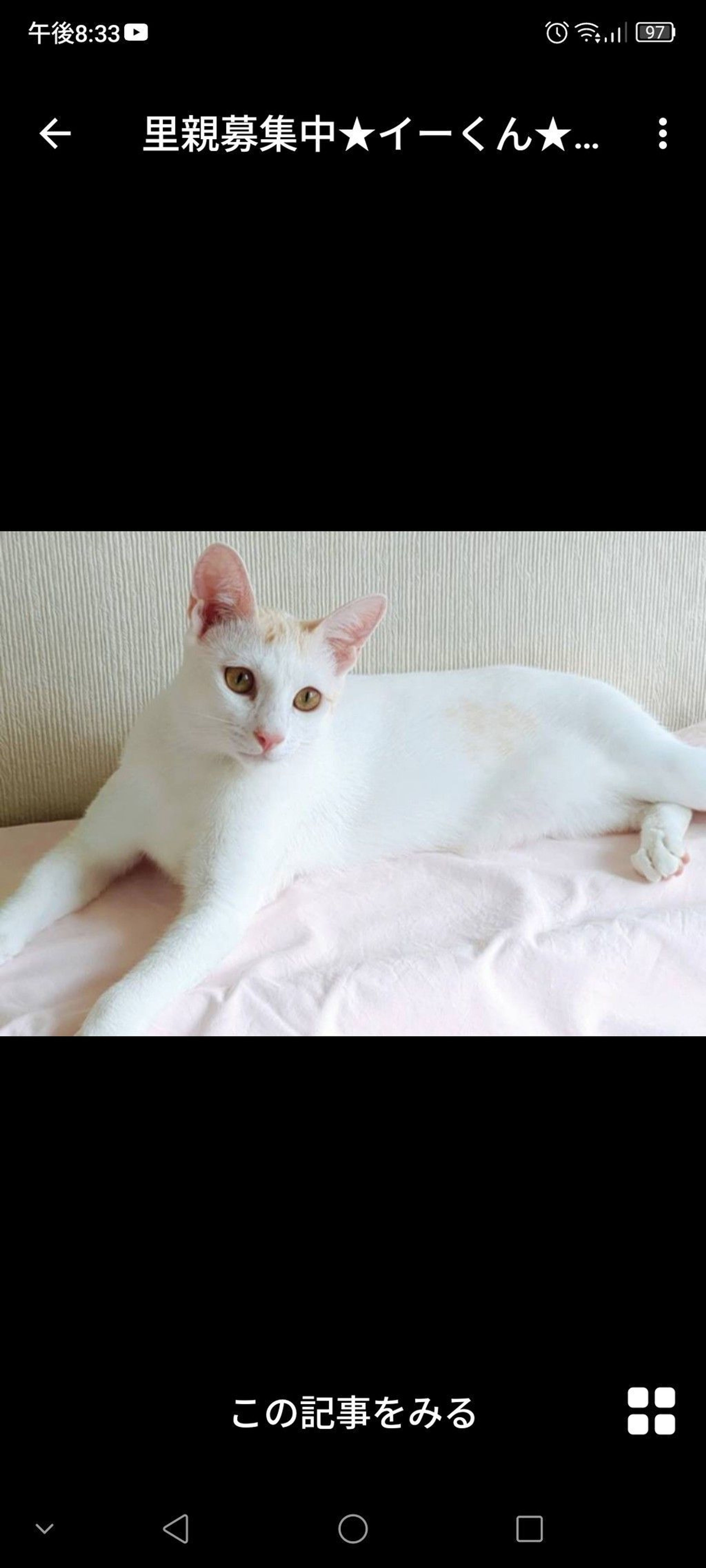 pet-image-3