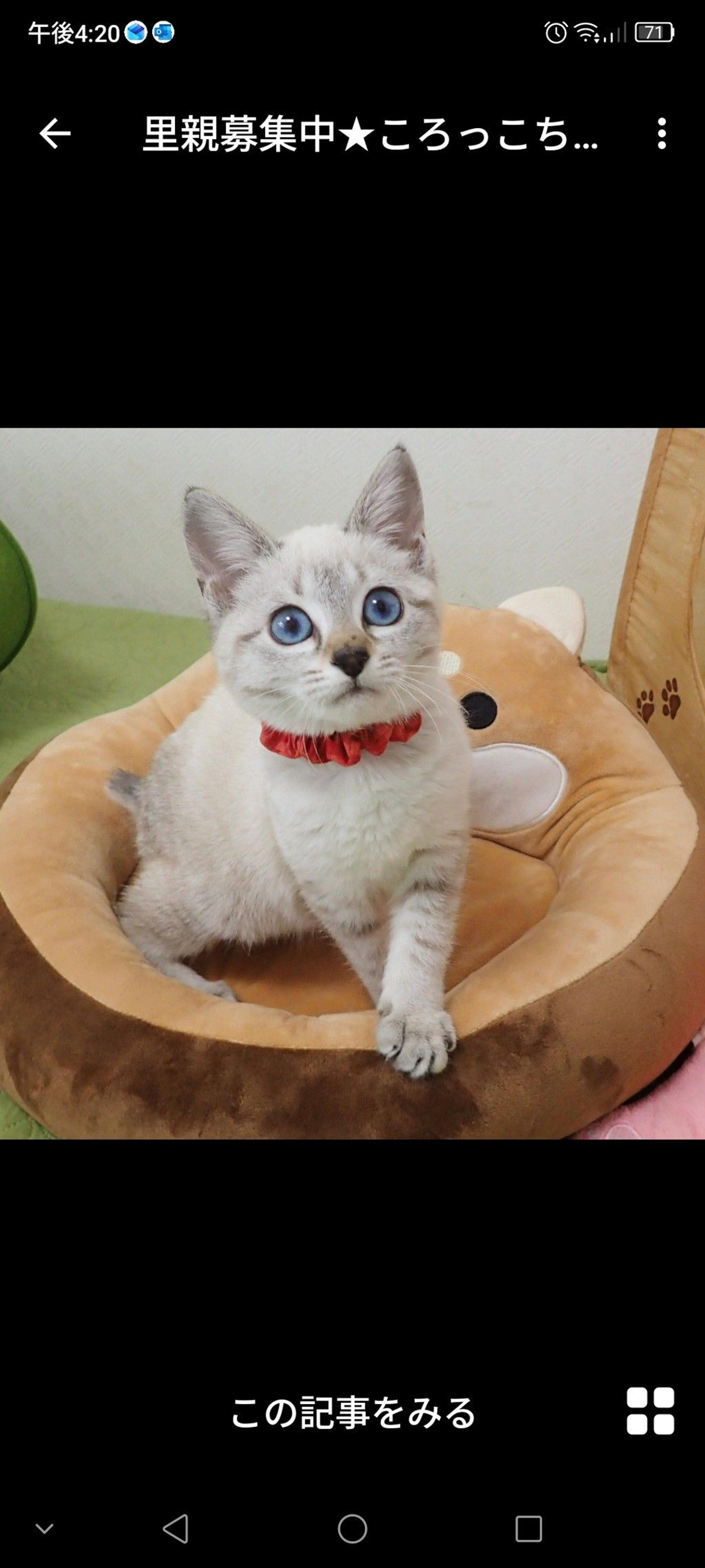pet-image-3