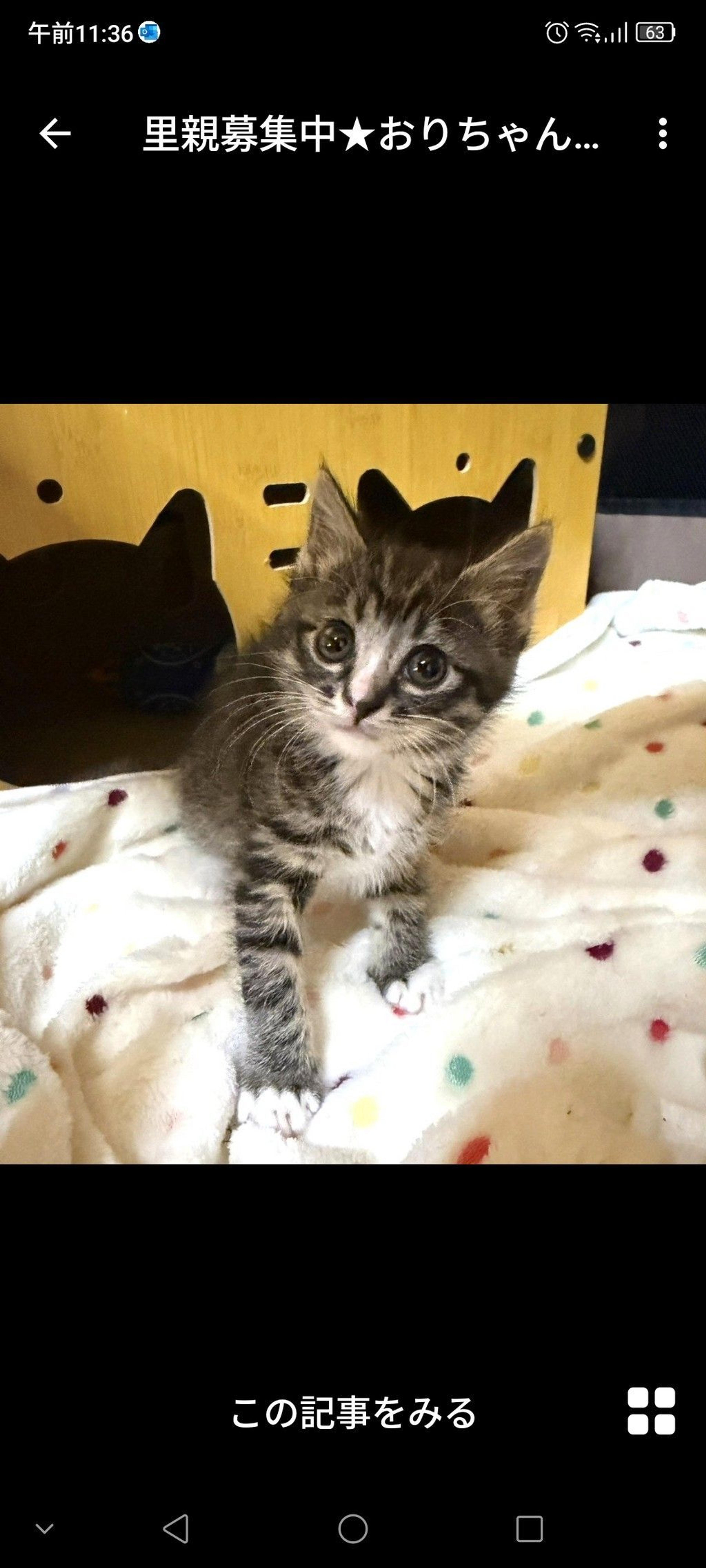 pet-image-3