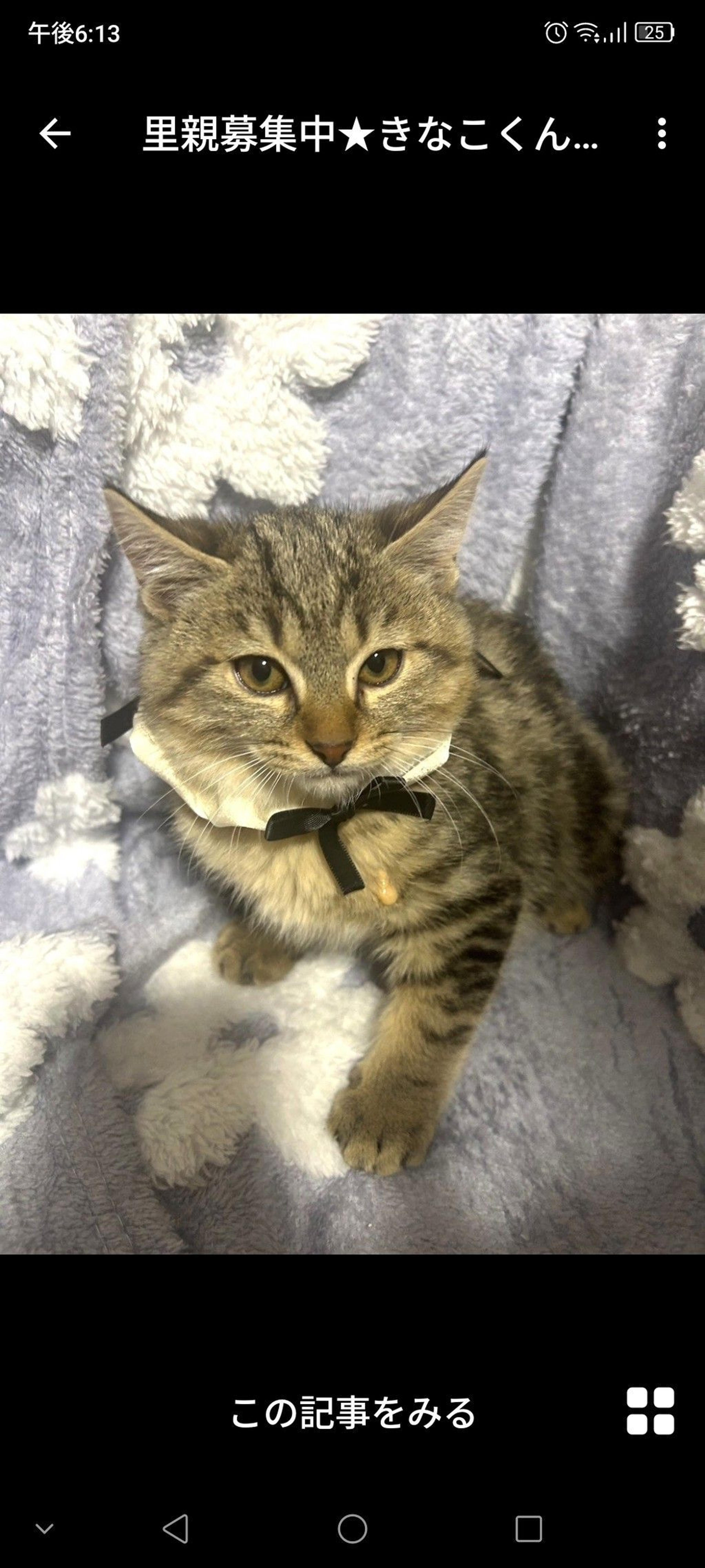 pet-image-2