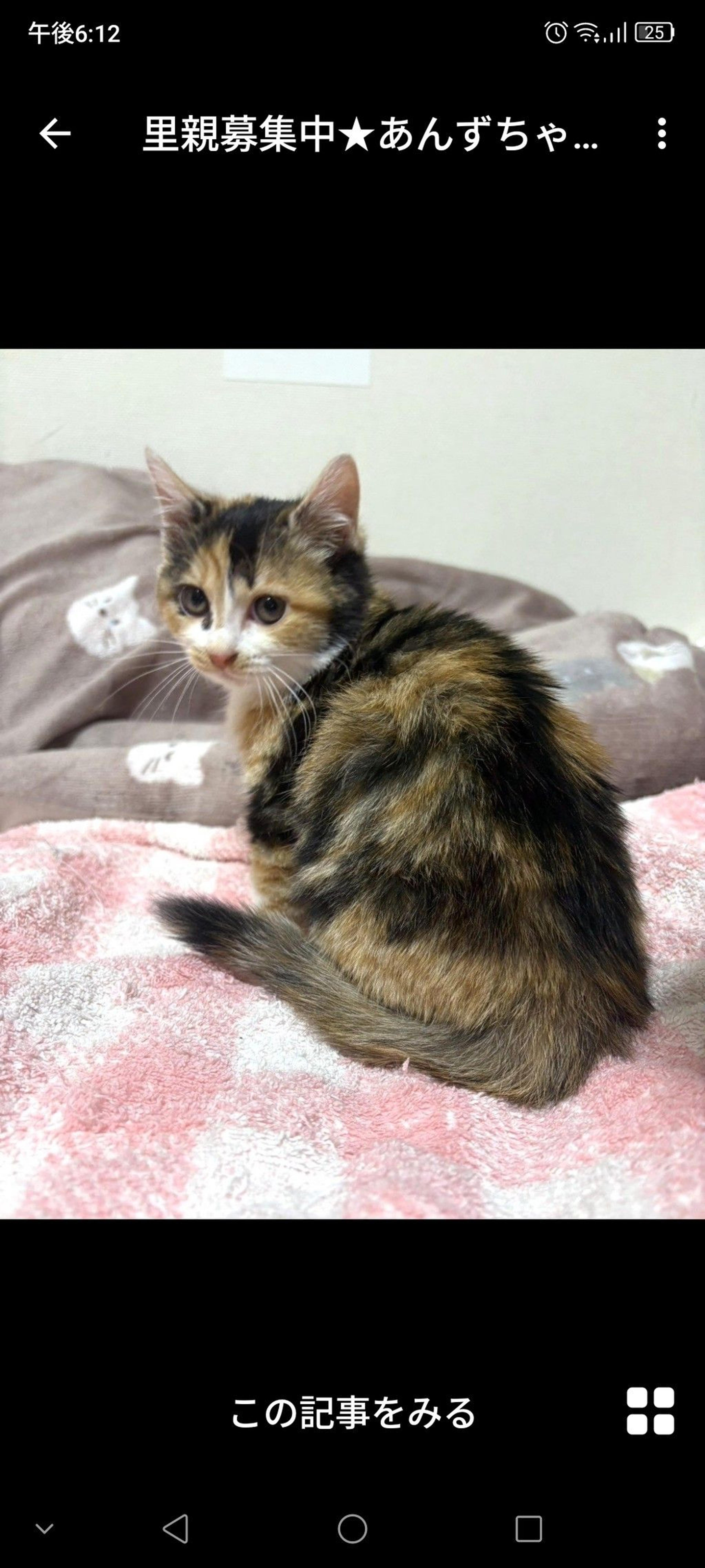 pet-image-3