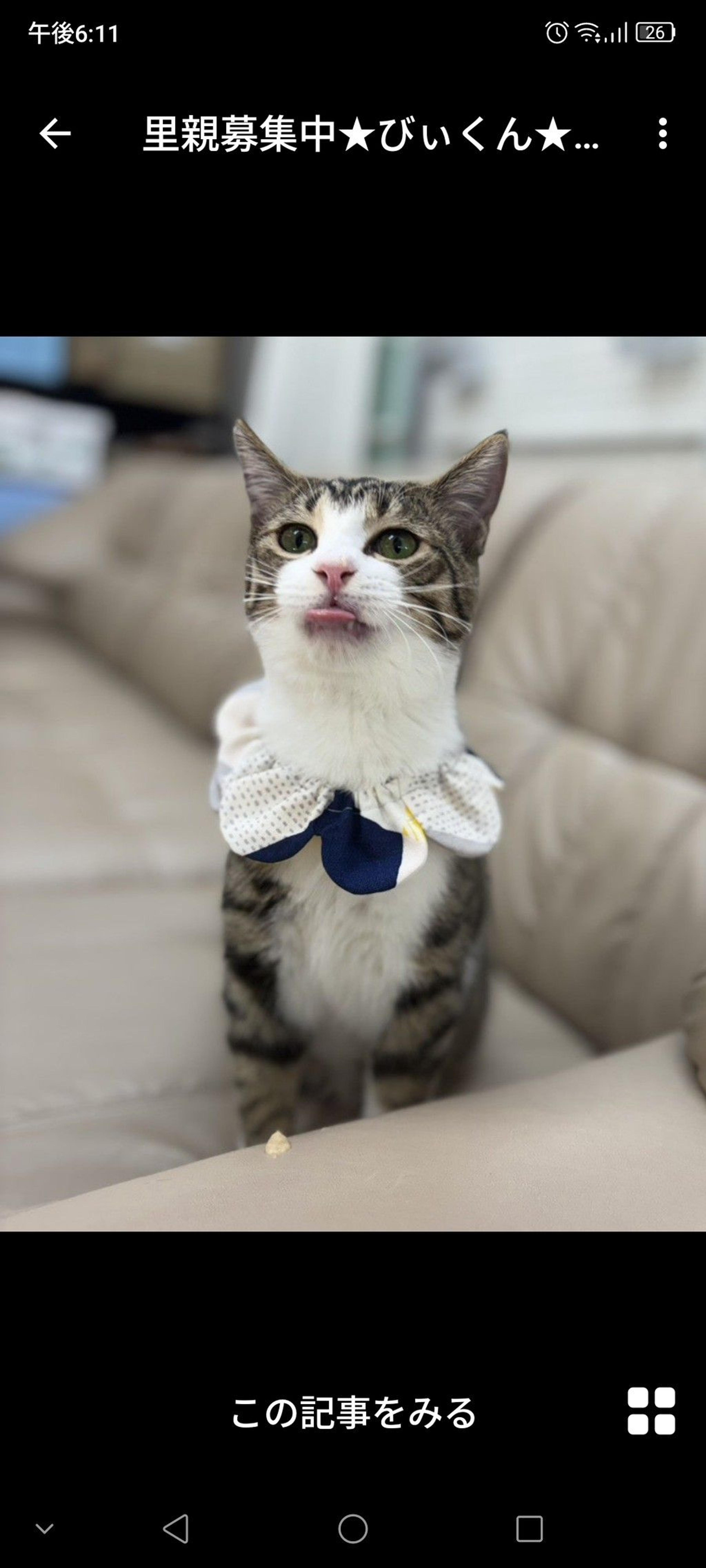 pet-image-3