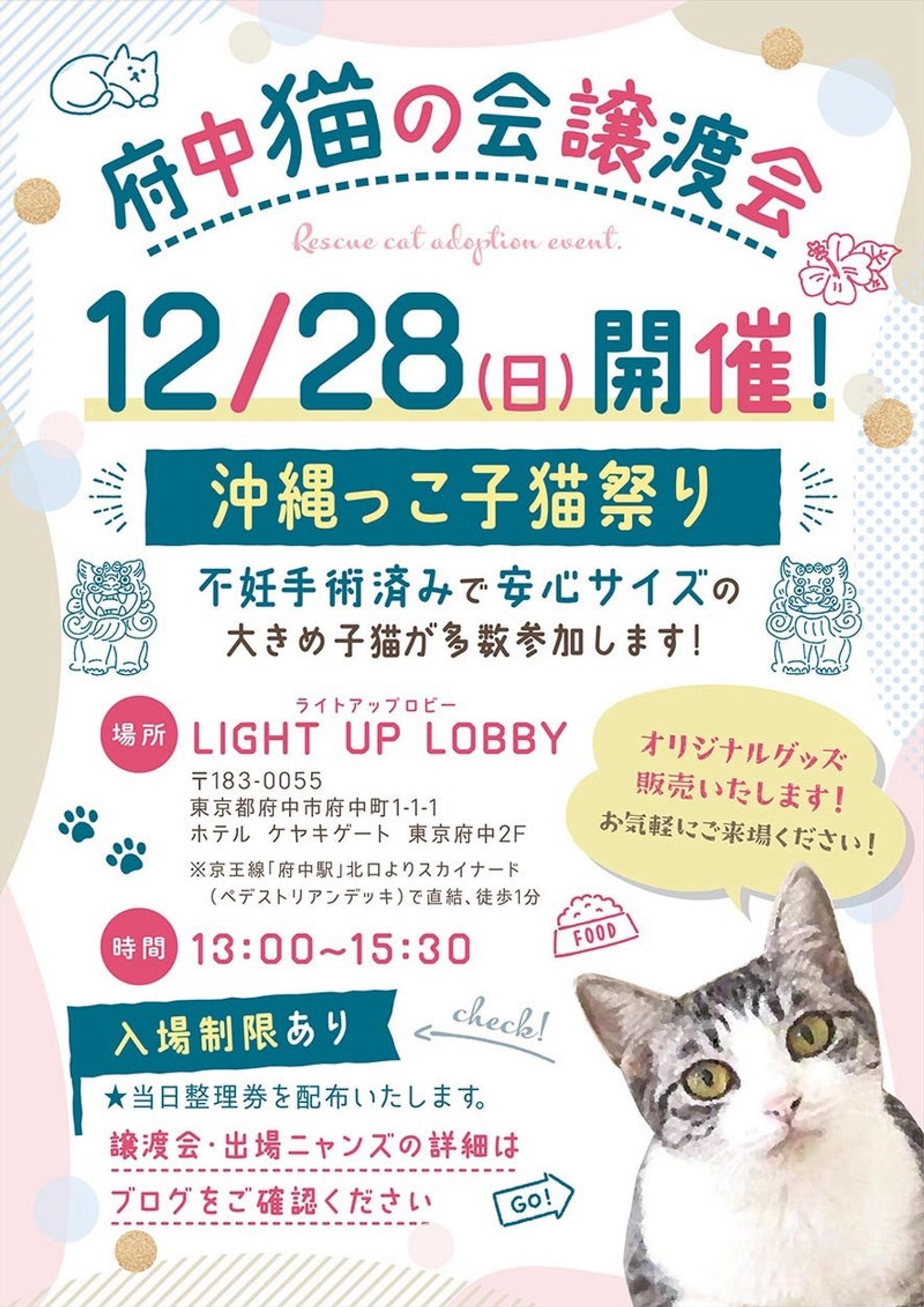 pet-image-5