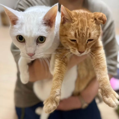 まる&ちゃちゃろう