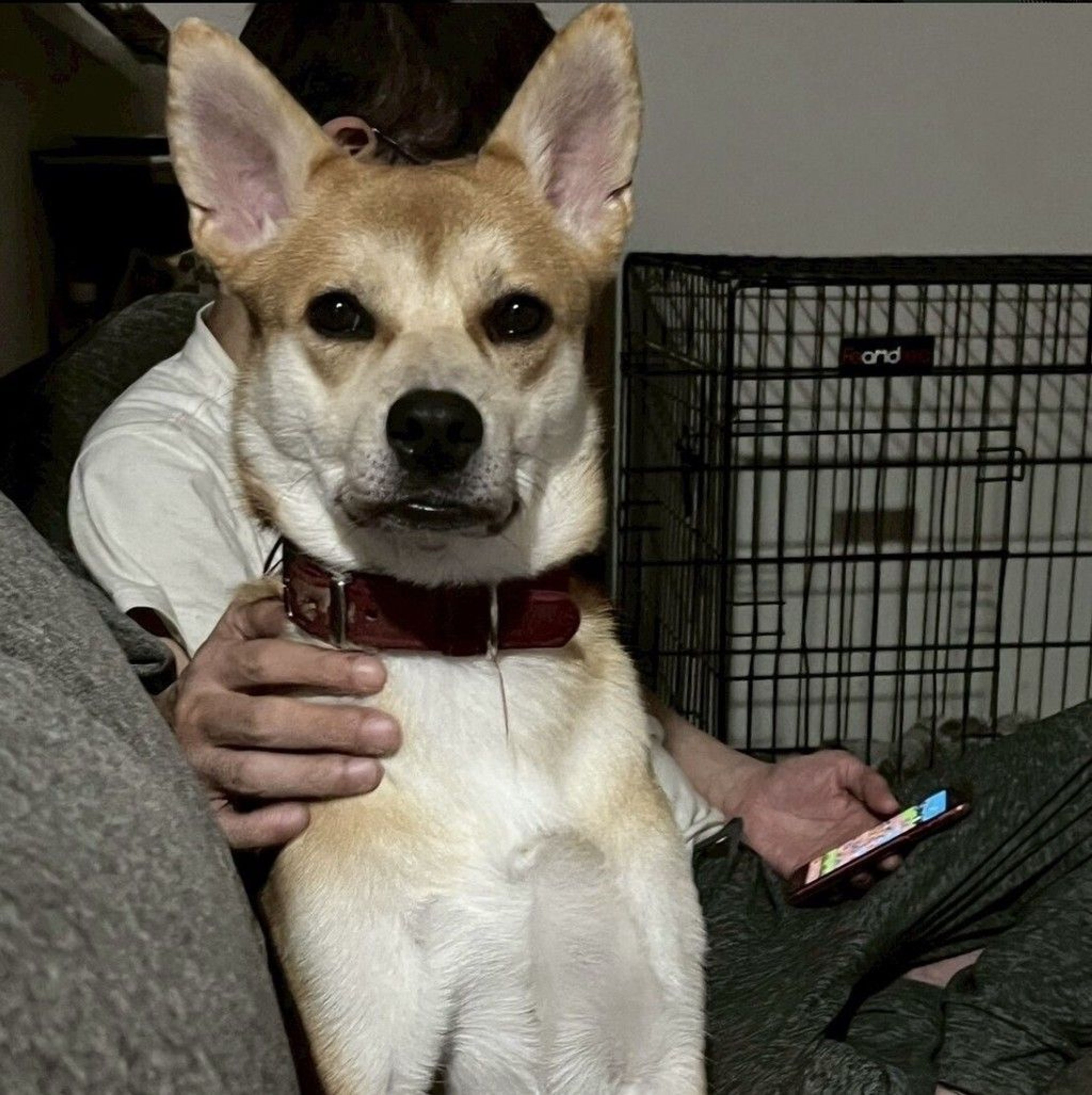 image-6