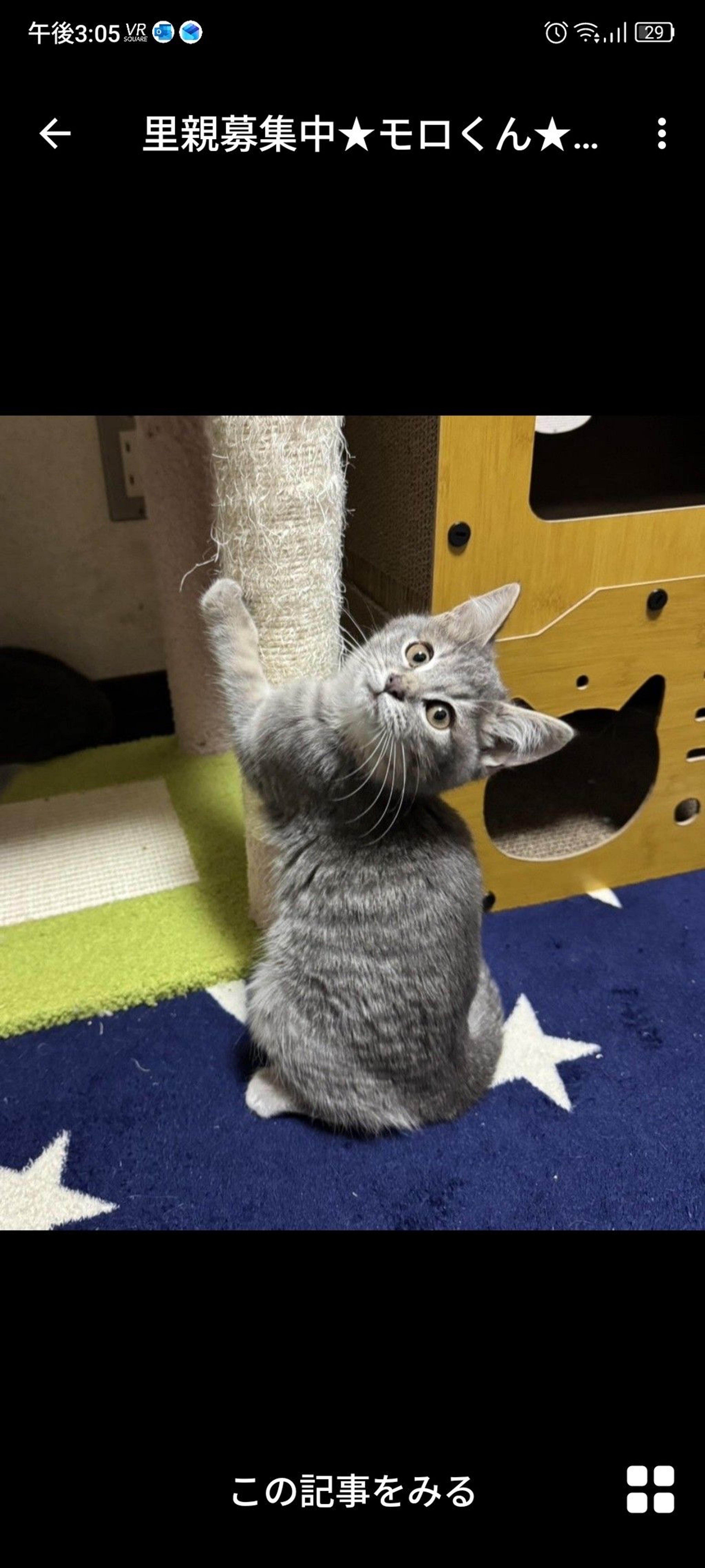pet-image-3