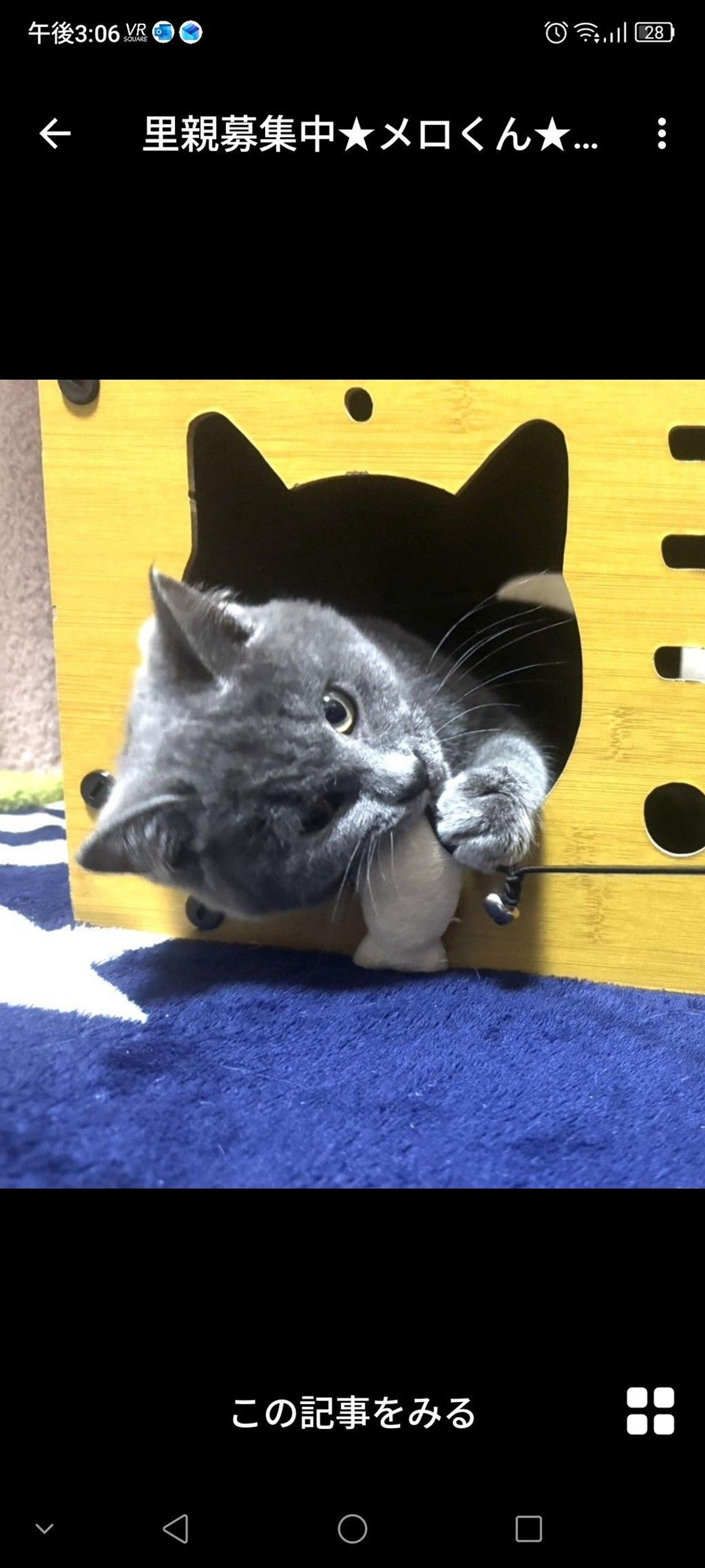 pet-image-2