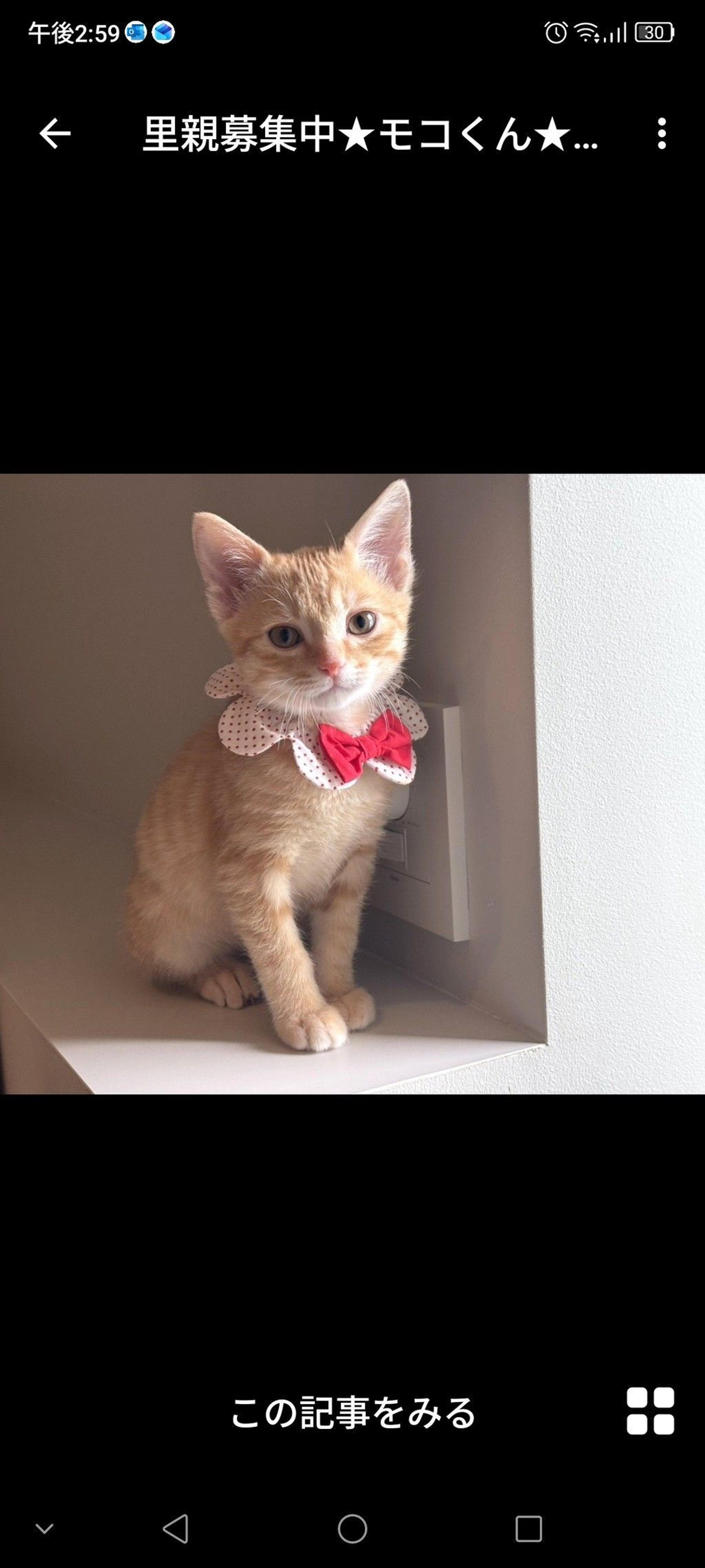pet-image-2