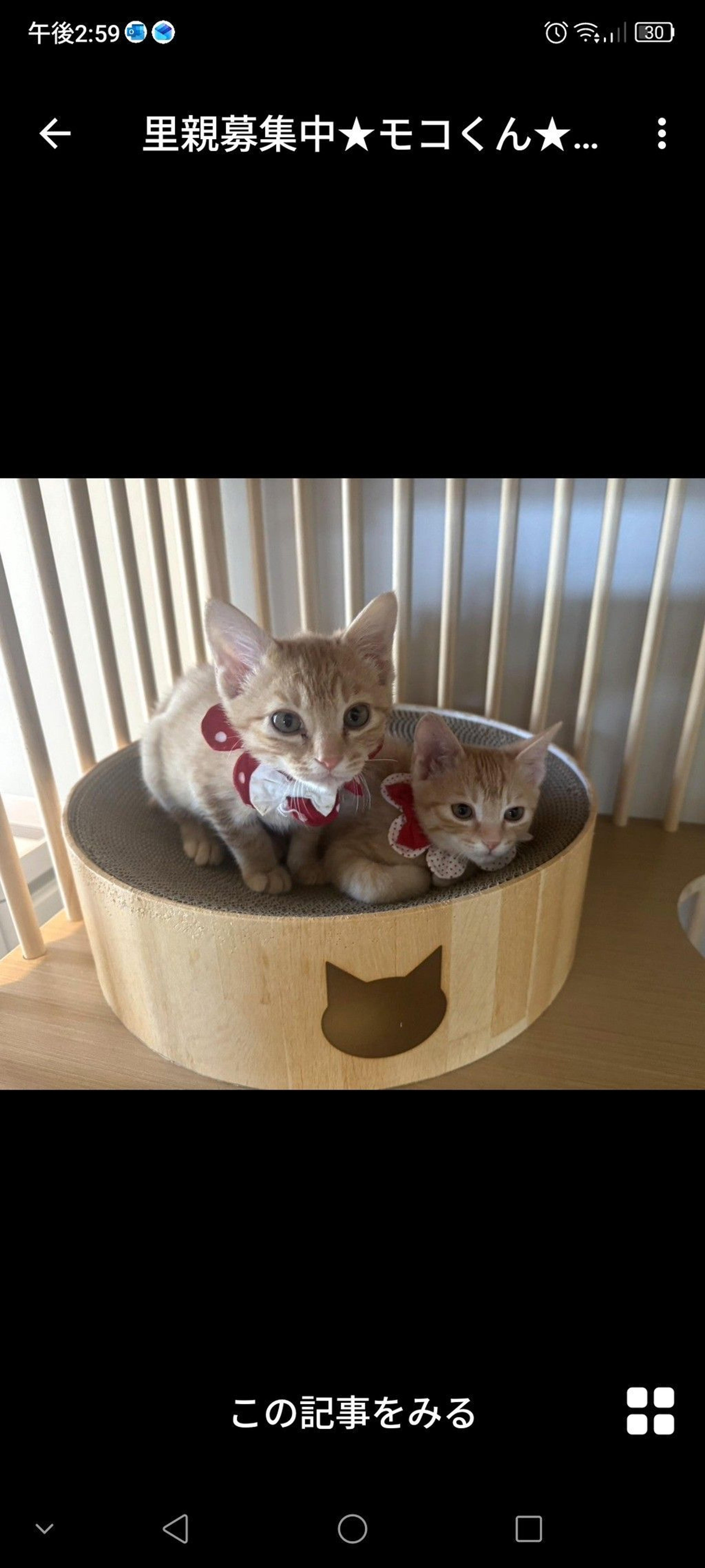 pet-image-3