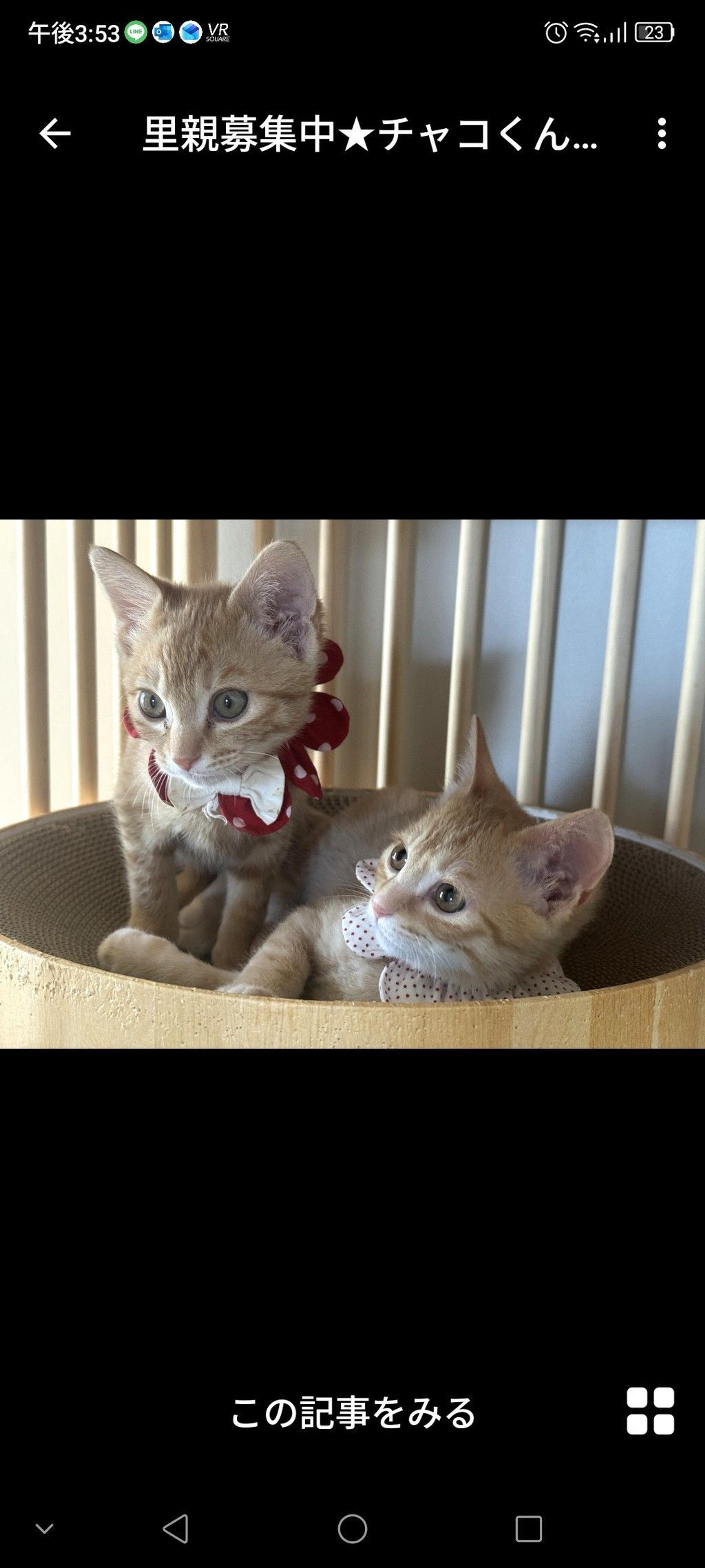 pet-image-2