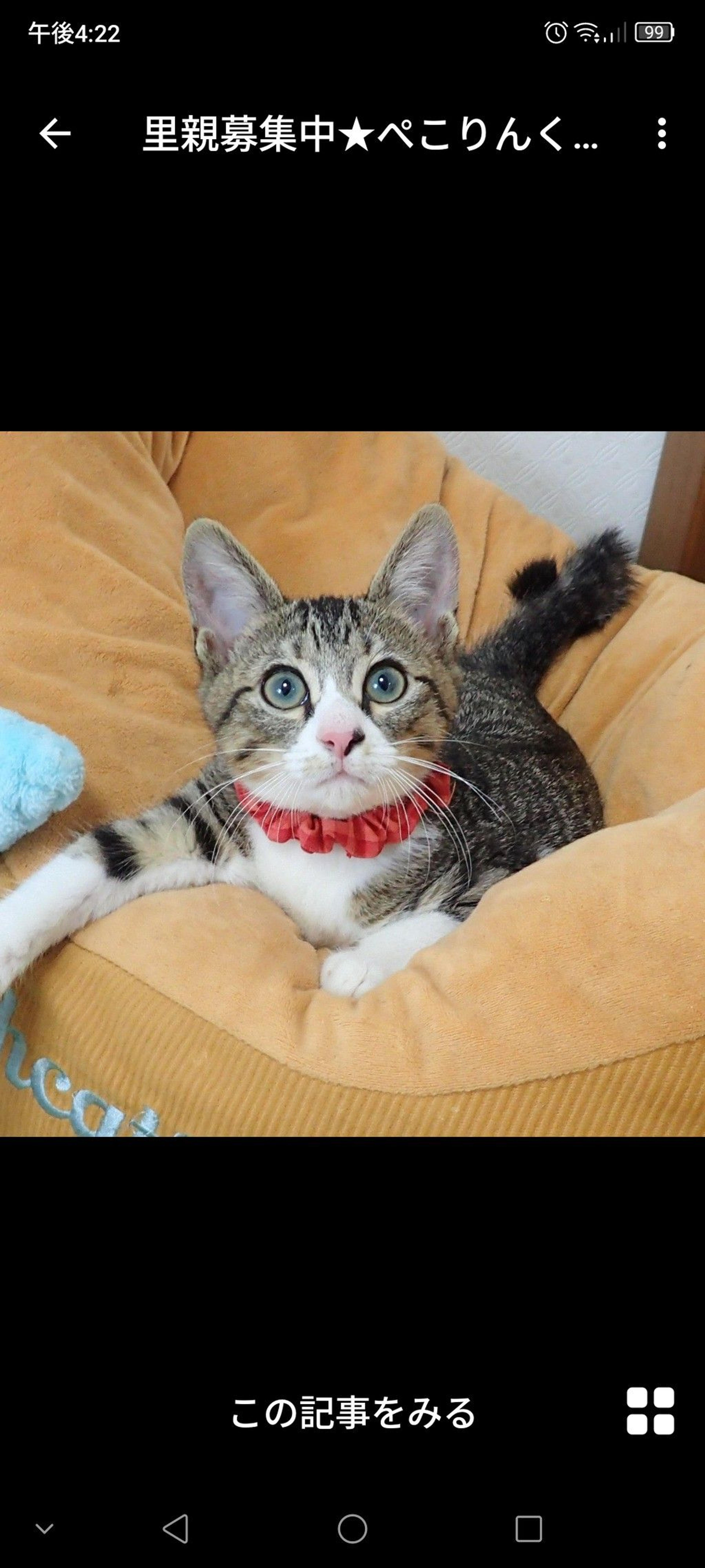pet-image-2